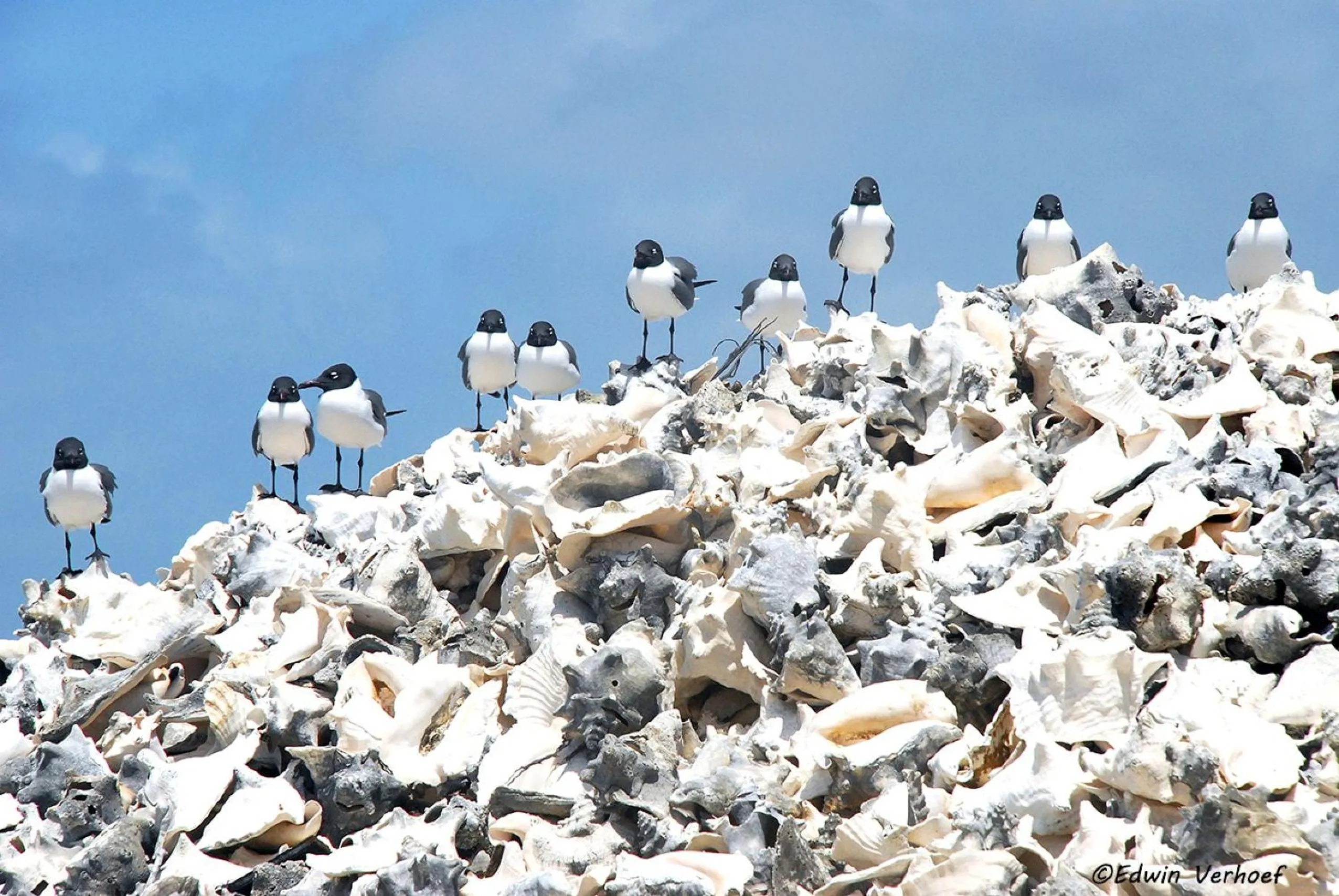 Other in BnBBonaire near the ocean