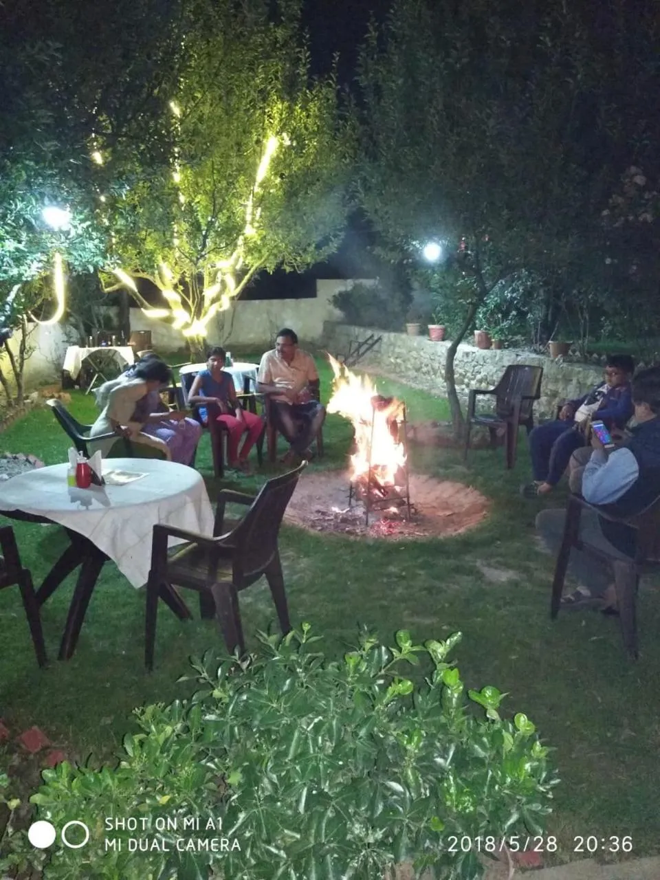 Garden in Hotel Mountain face by Snow City Hotels