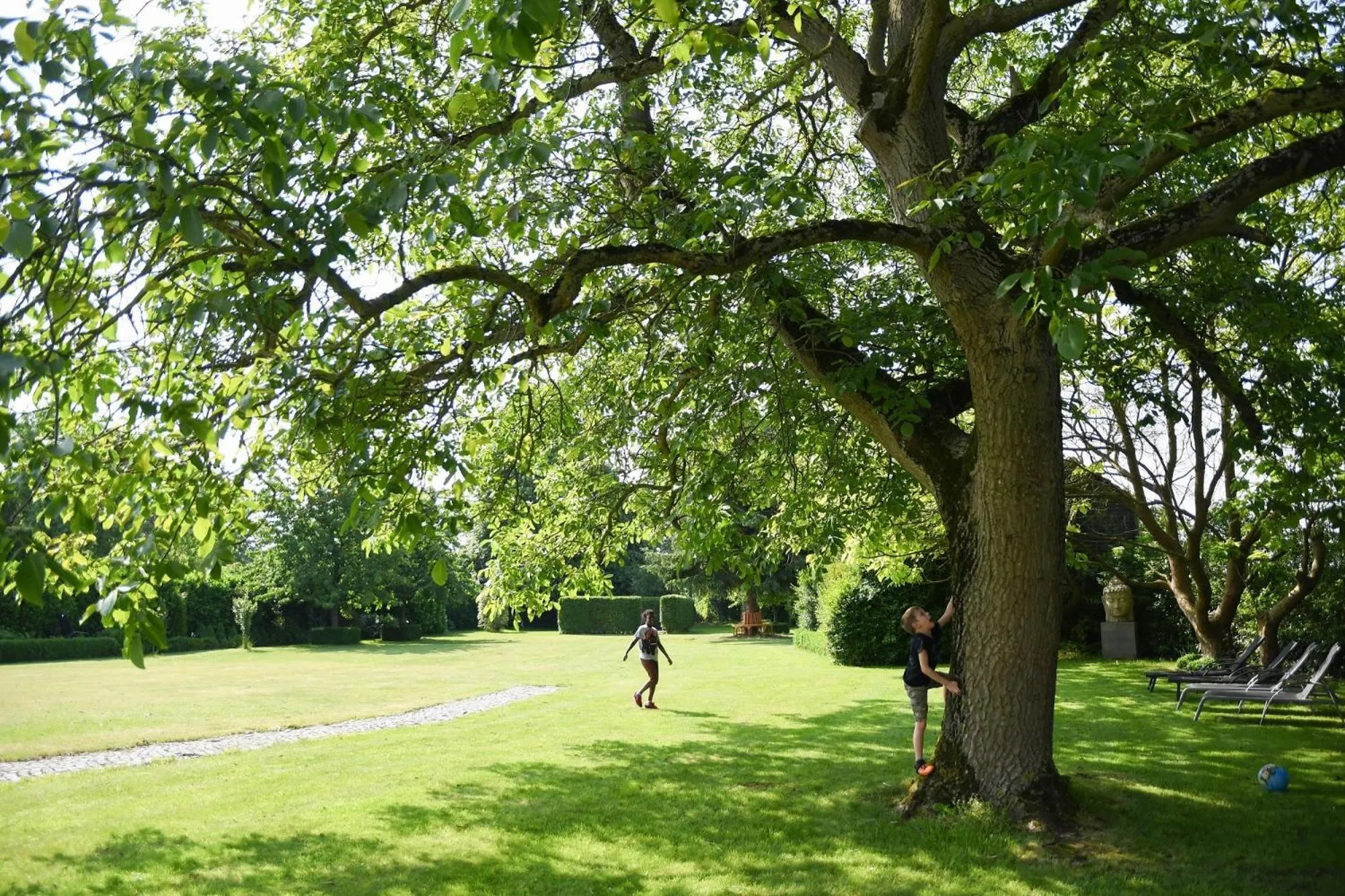 Garden in Het Hemelsveld