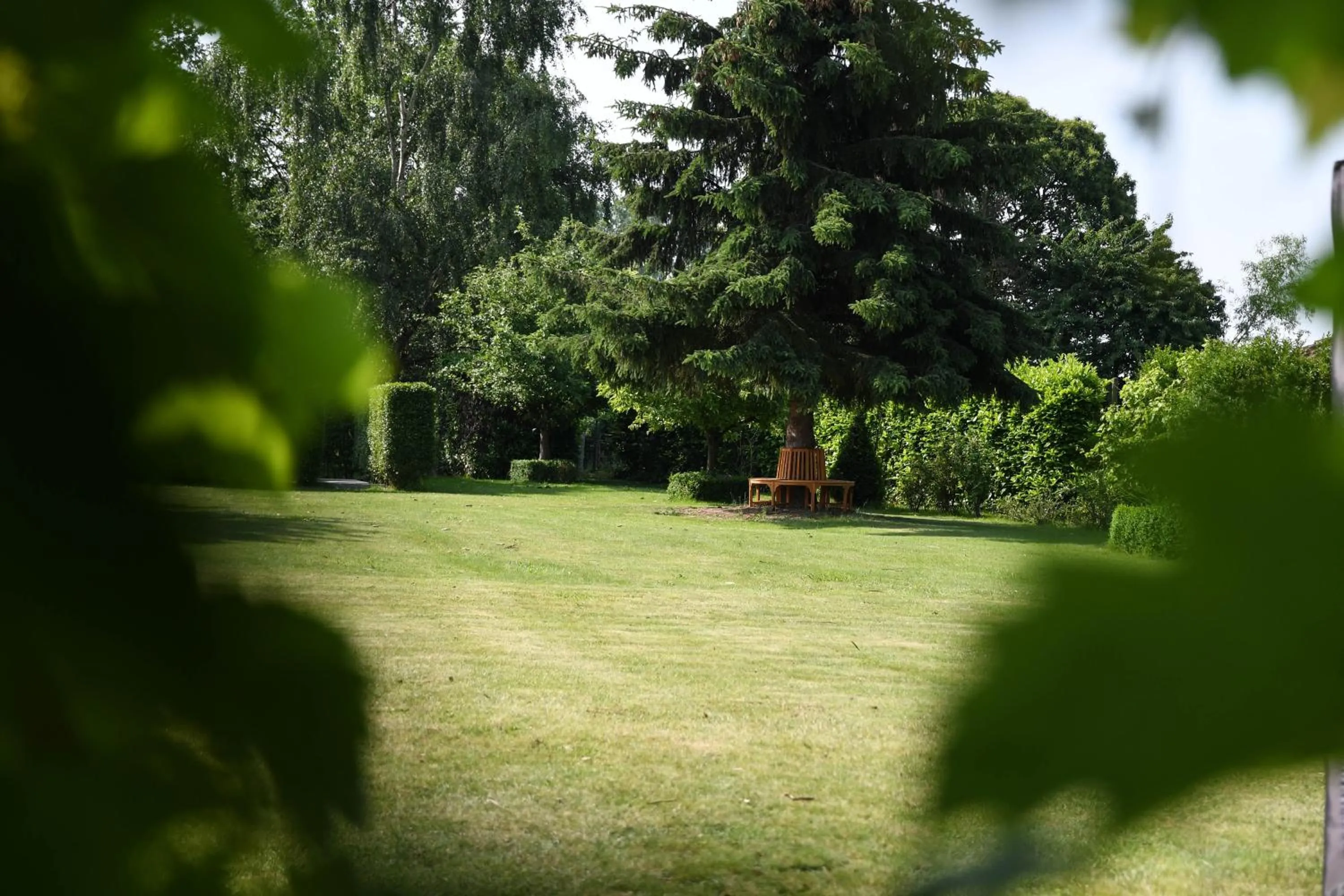 Garden in Het Hemelsveld