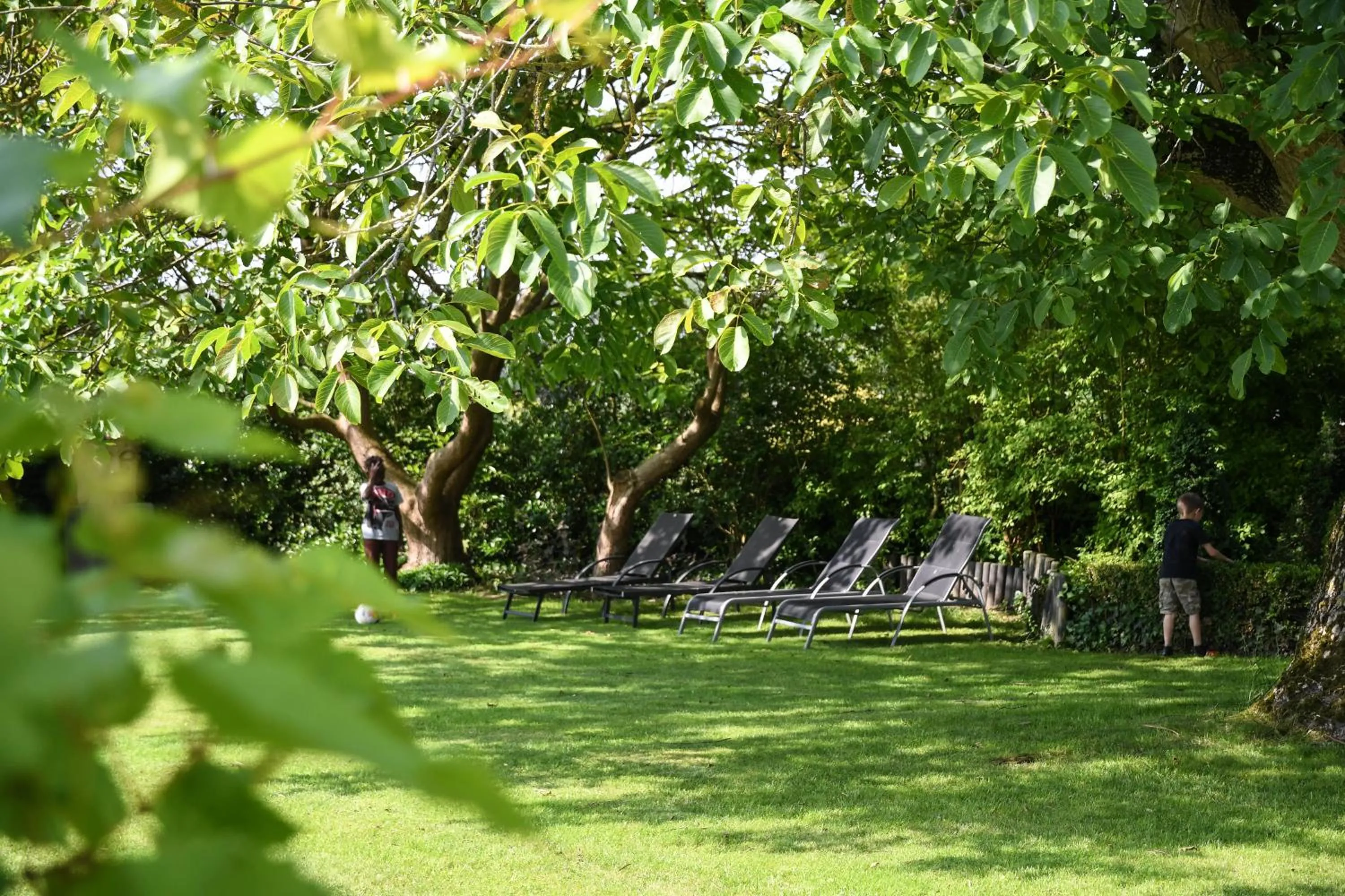 Garden in Het Hemelsveld