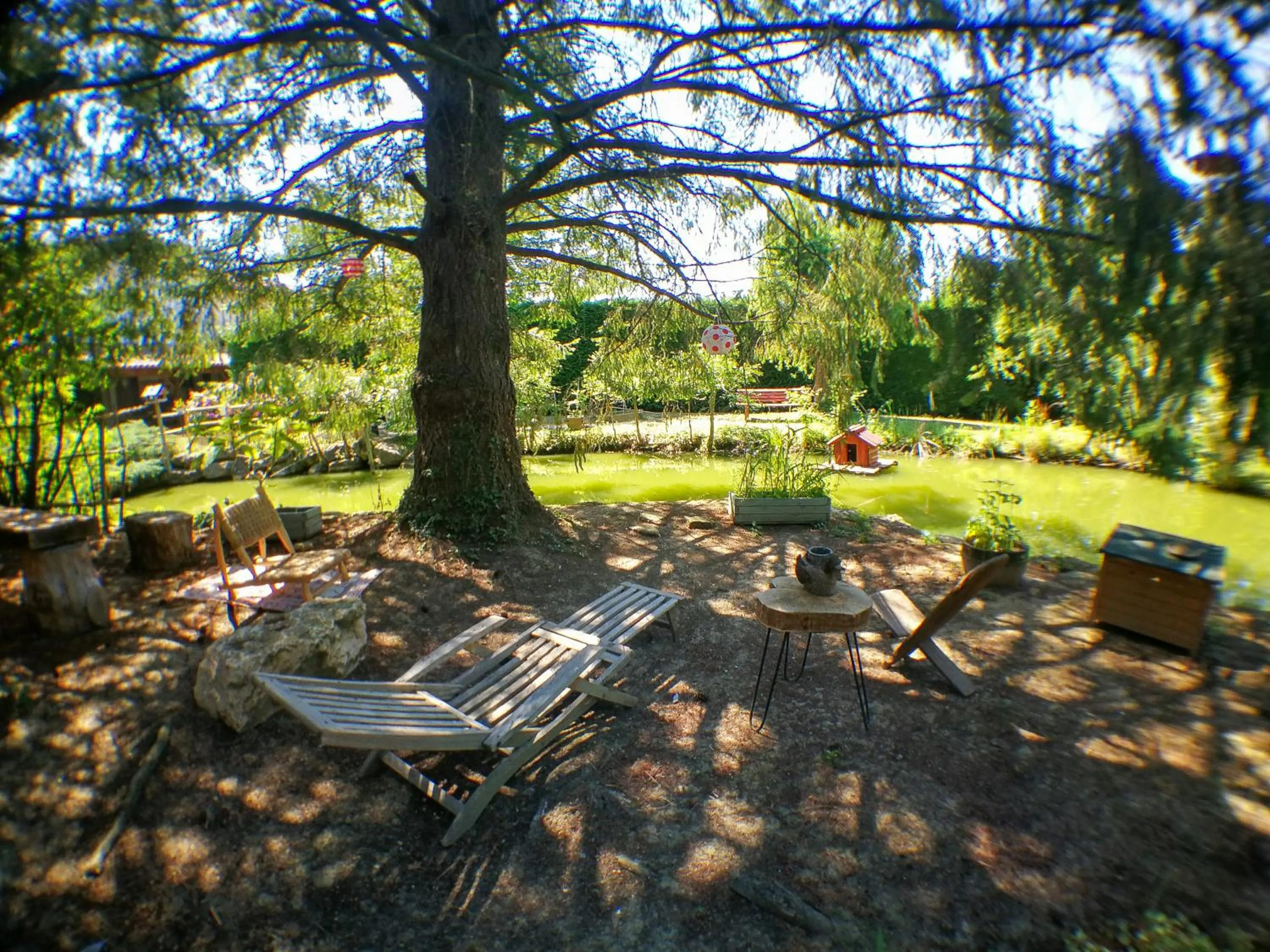 Garden in La mare aux canards