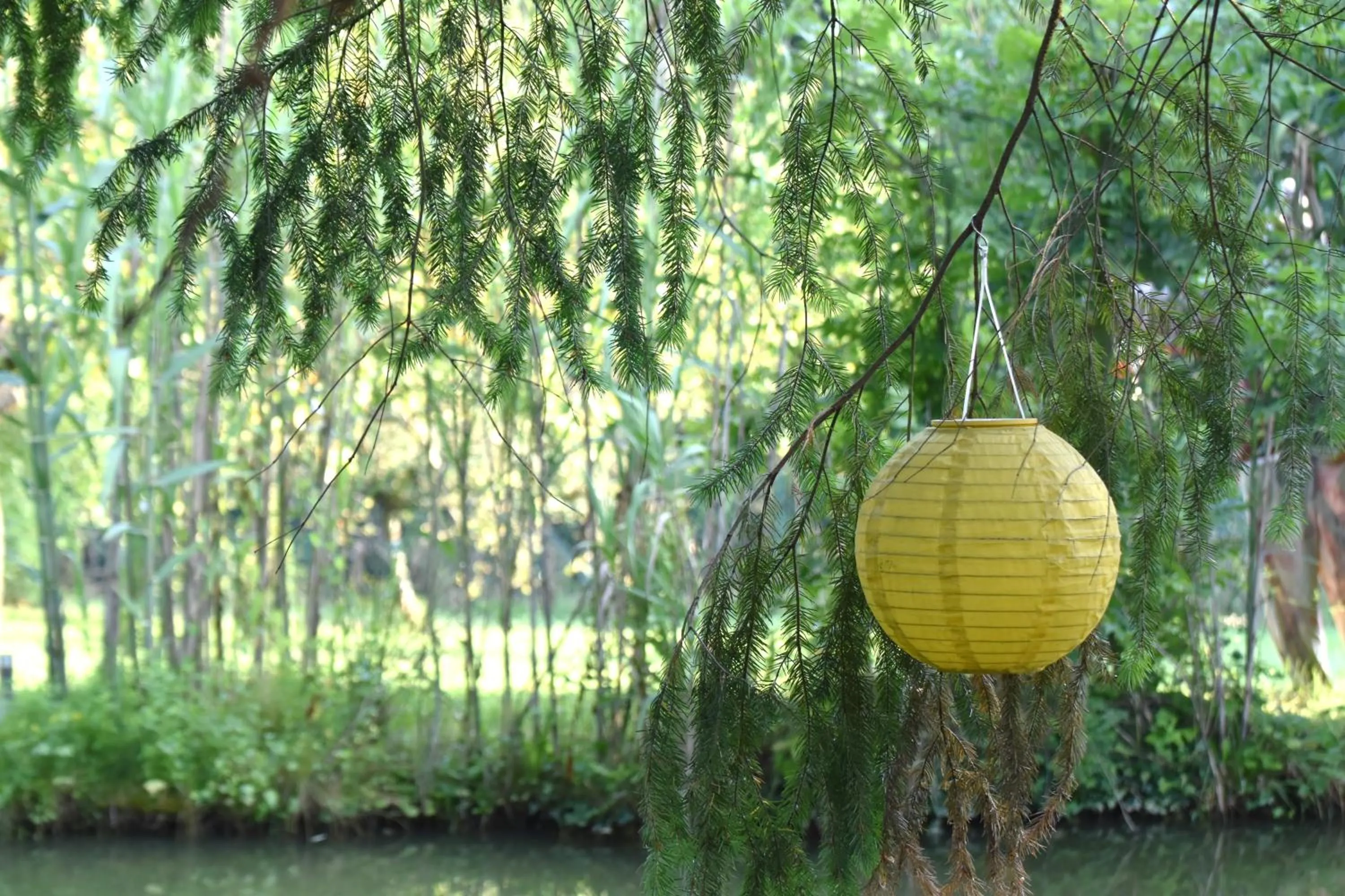 Garden in La mare aux canards