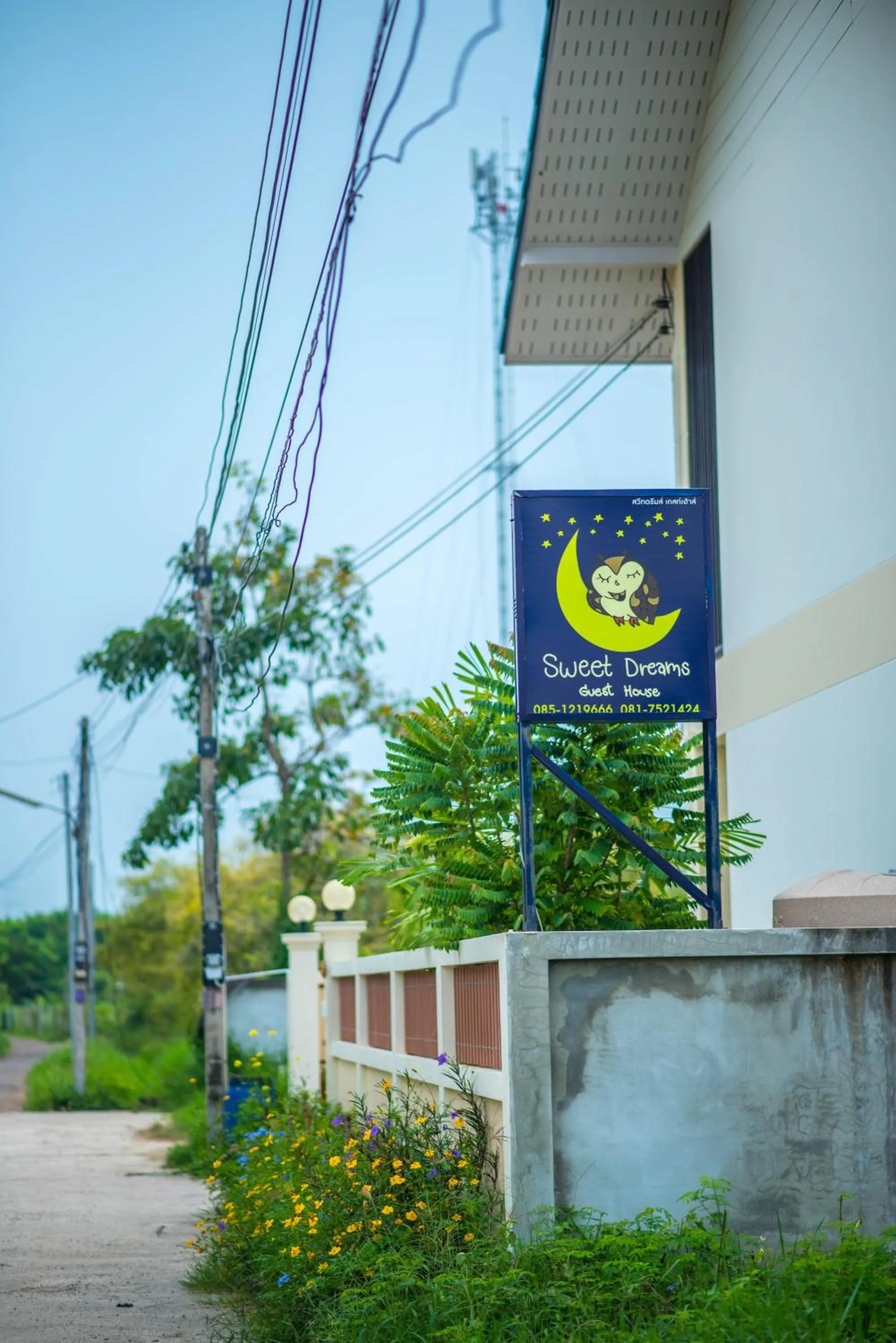 Property logo or sign in Sweet Dreams