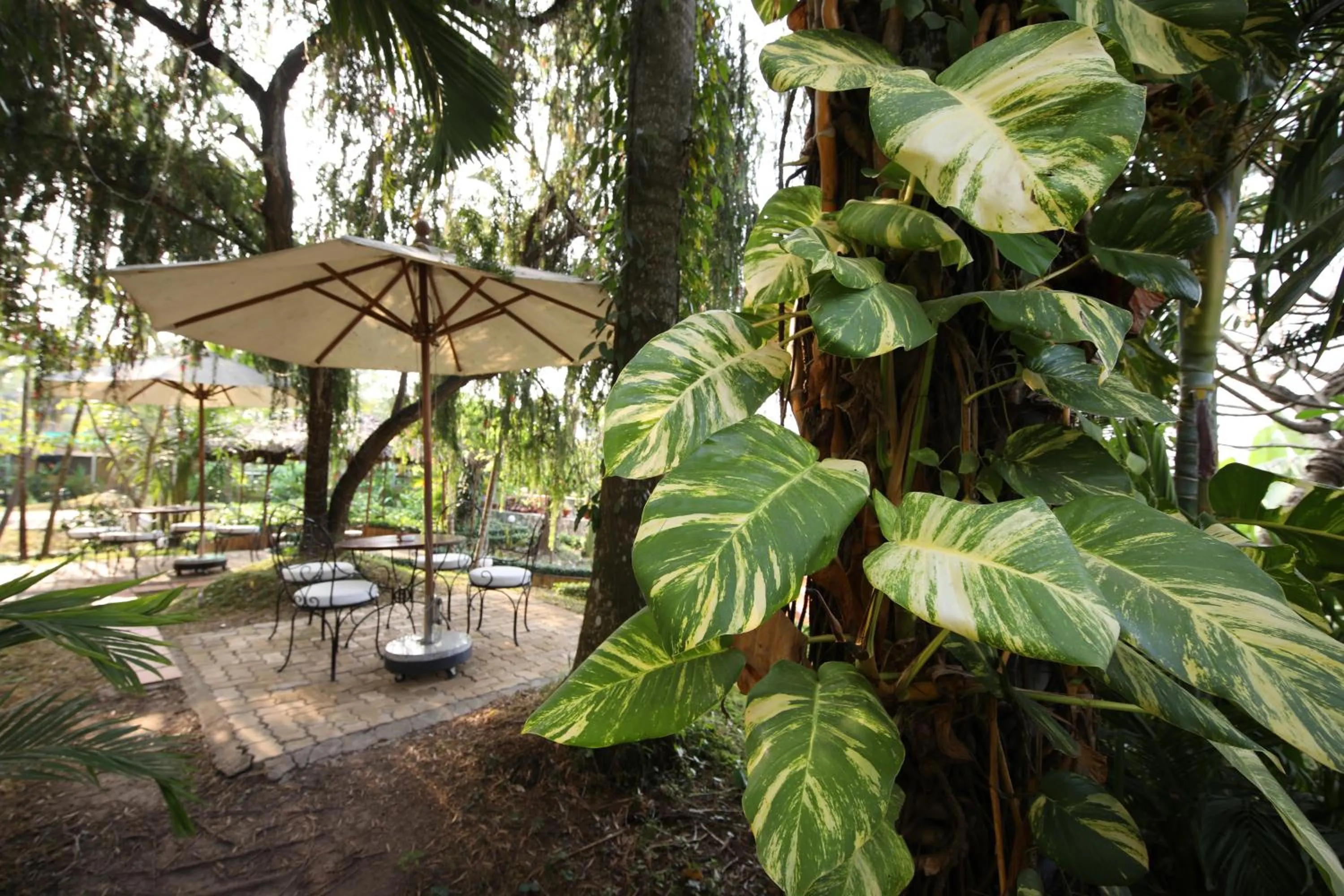 Garden view in Victoria Chau Doc Hotel