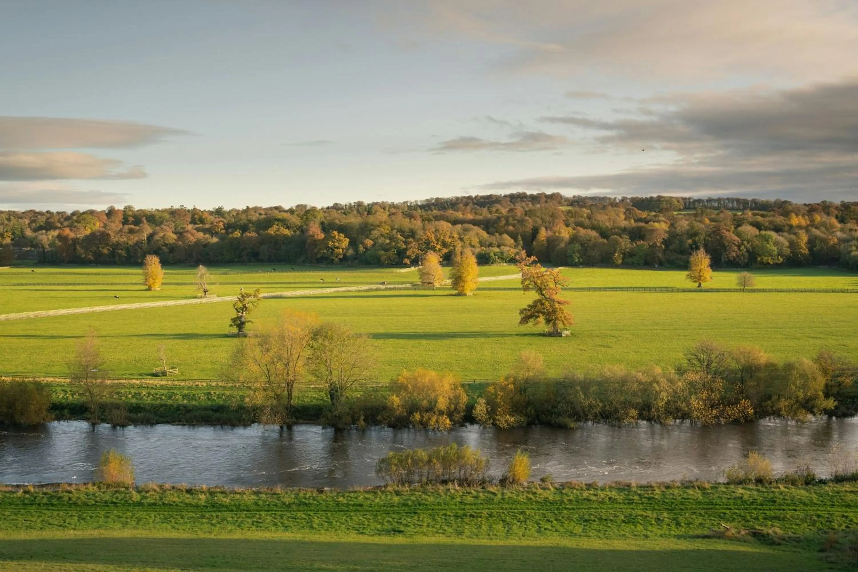 Photo of the whole room in Mount Juliet Estate, Autograph Collection