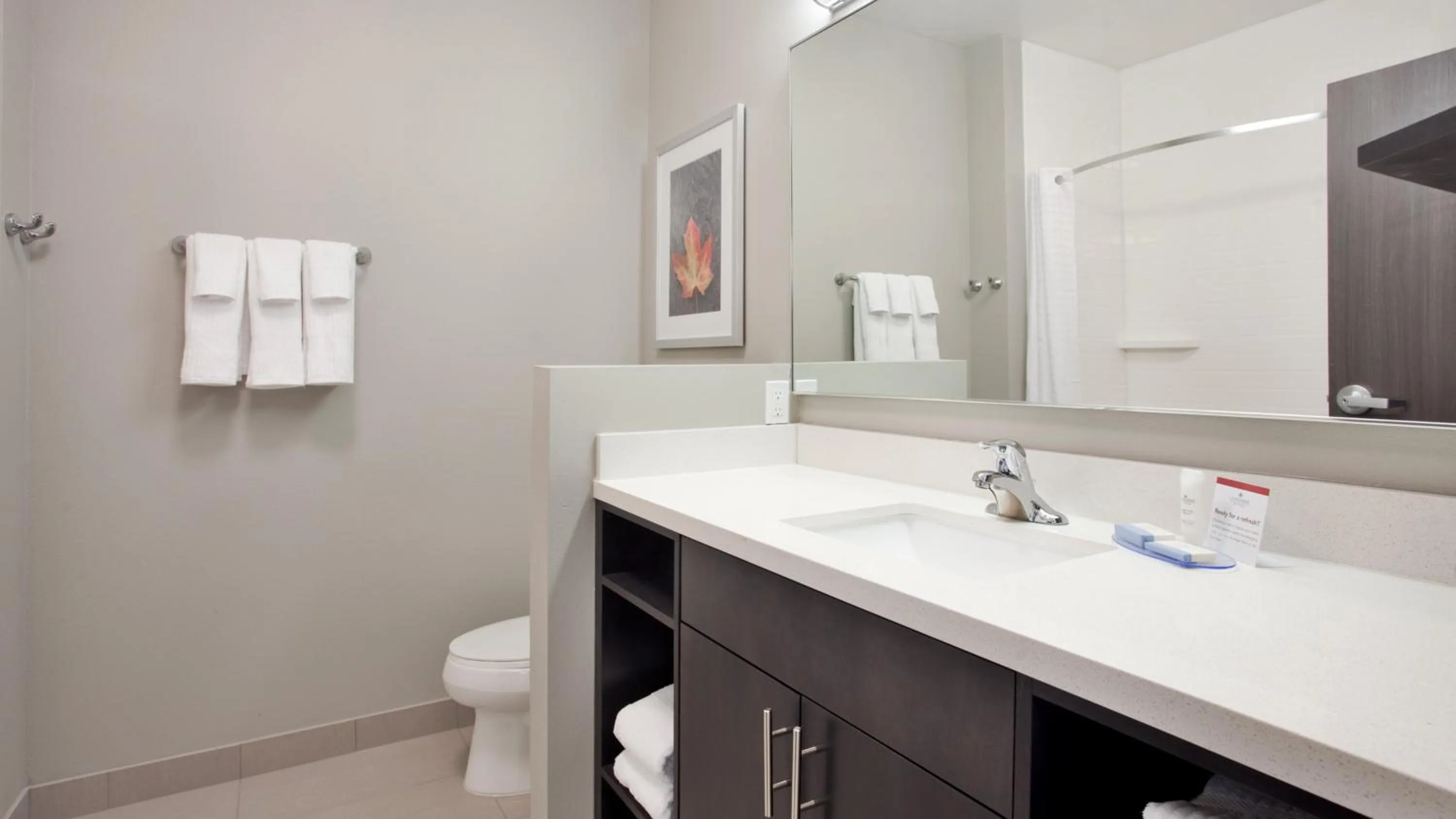 Bathroom in Candlewood Suites Grand Island by IHG