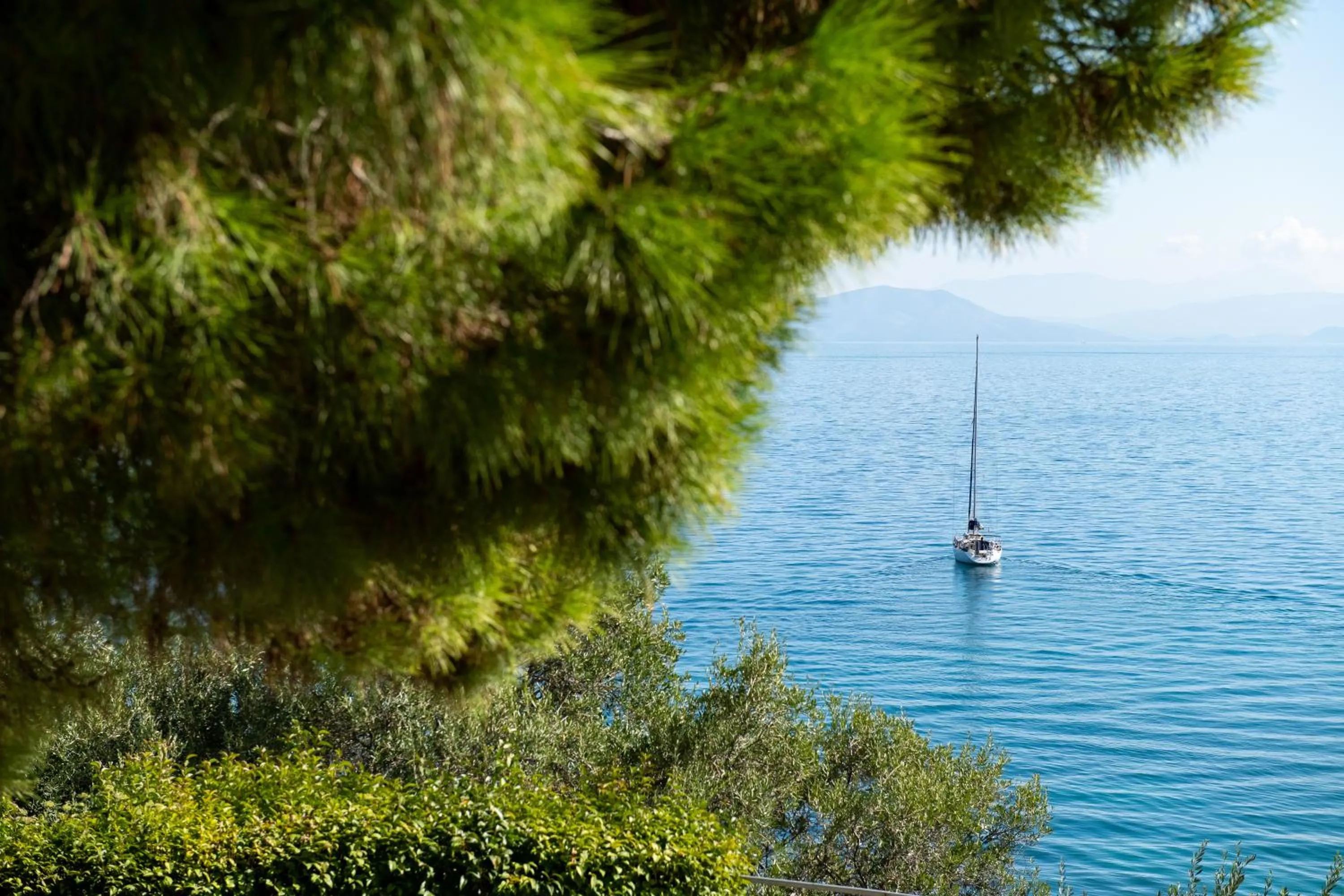 Natural landscape in Dimitra Studios