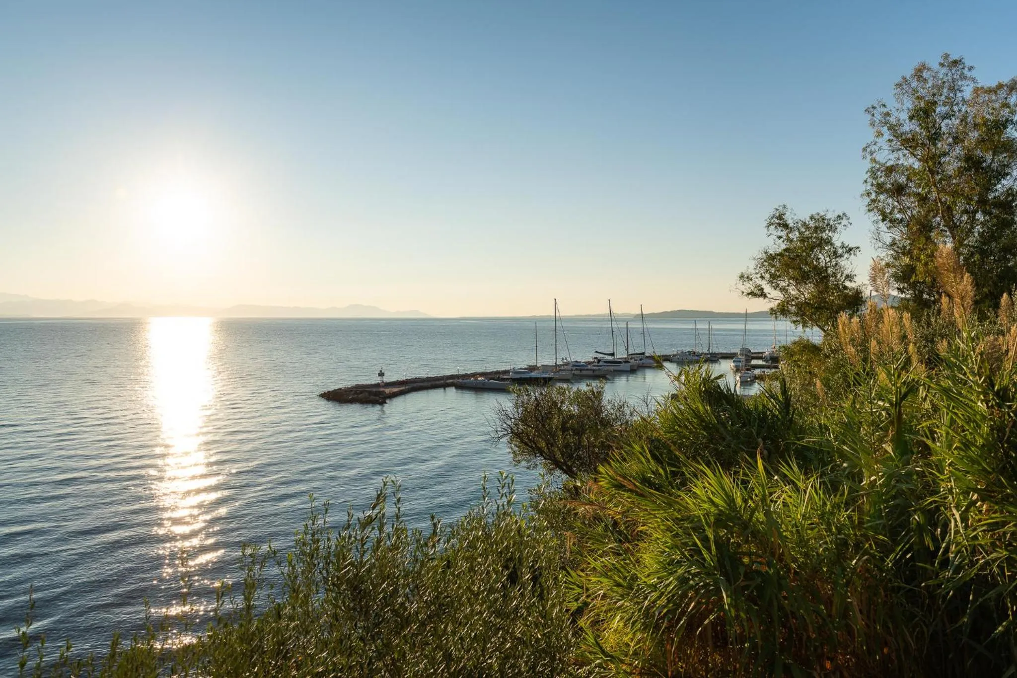Natural landscape in Dimitra Studios