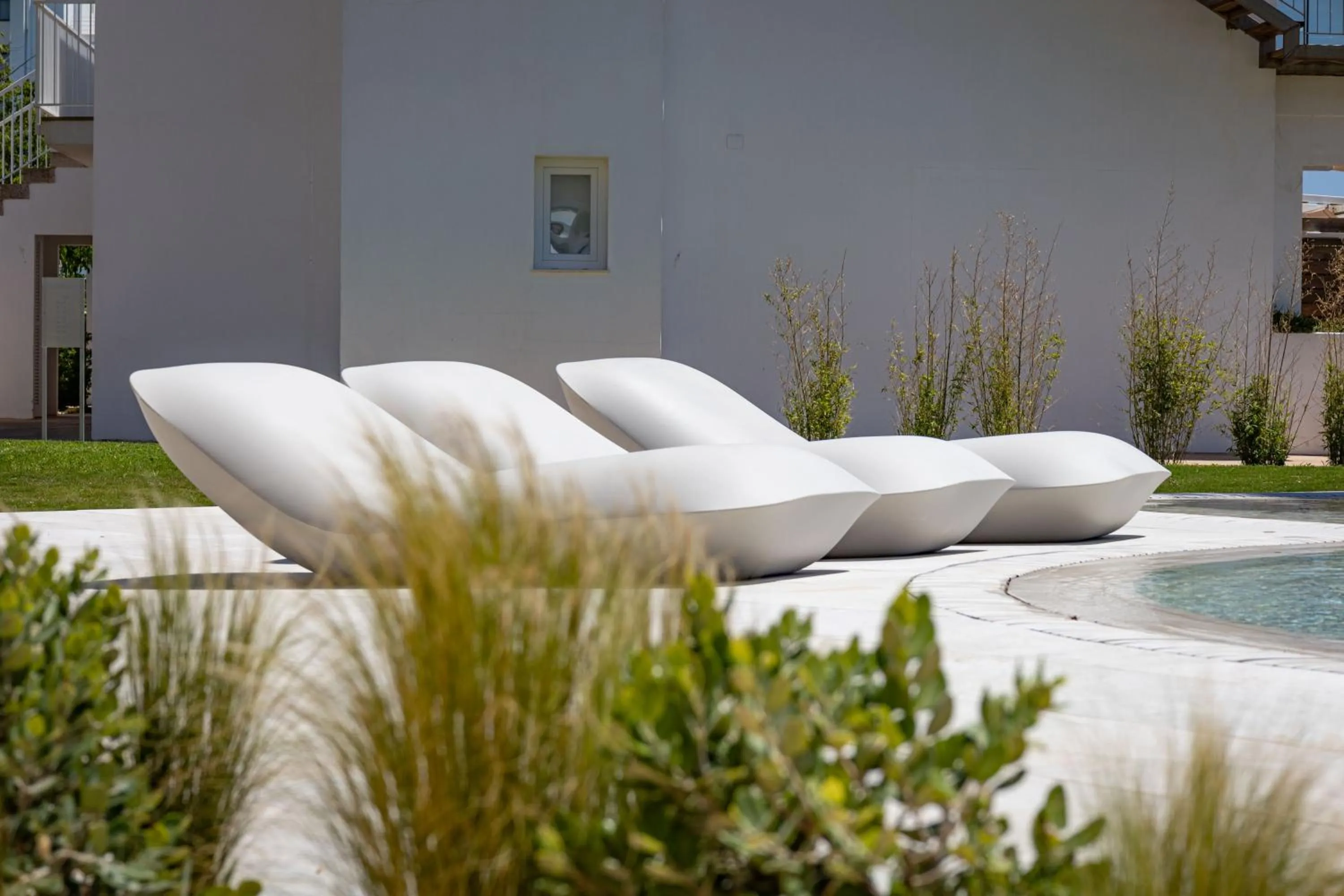 Garden in Seth Santo Tomás