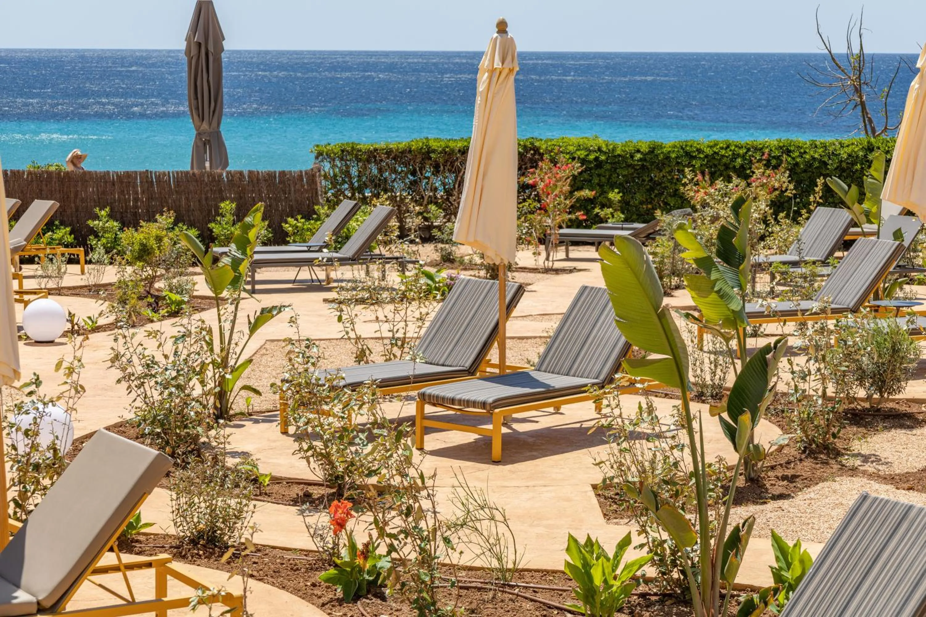 Garden in Seth Santo Tomás