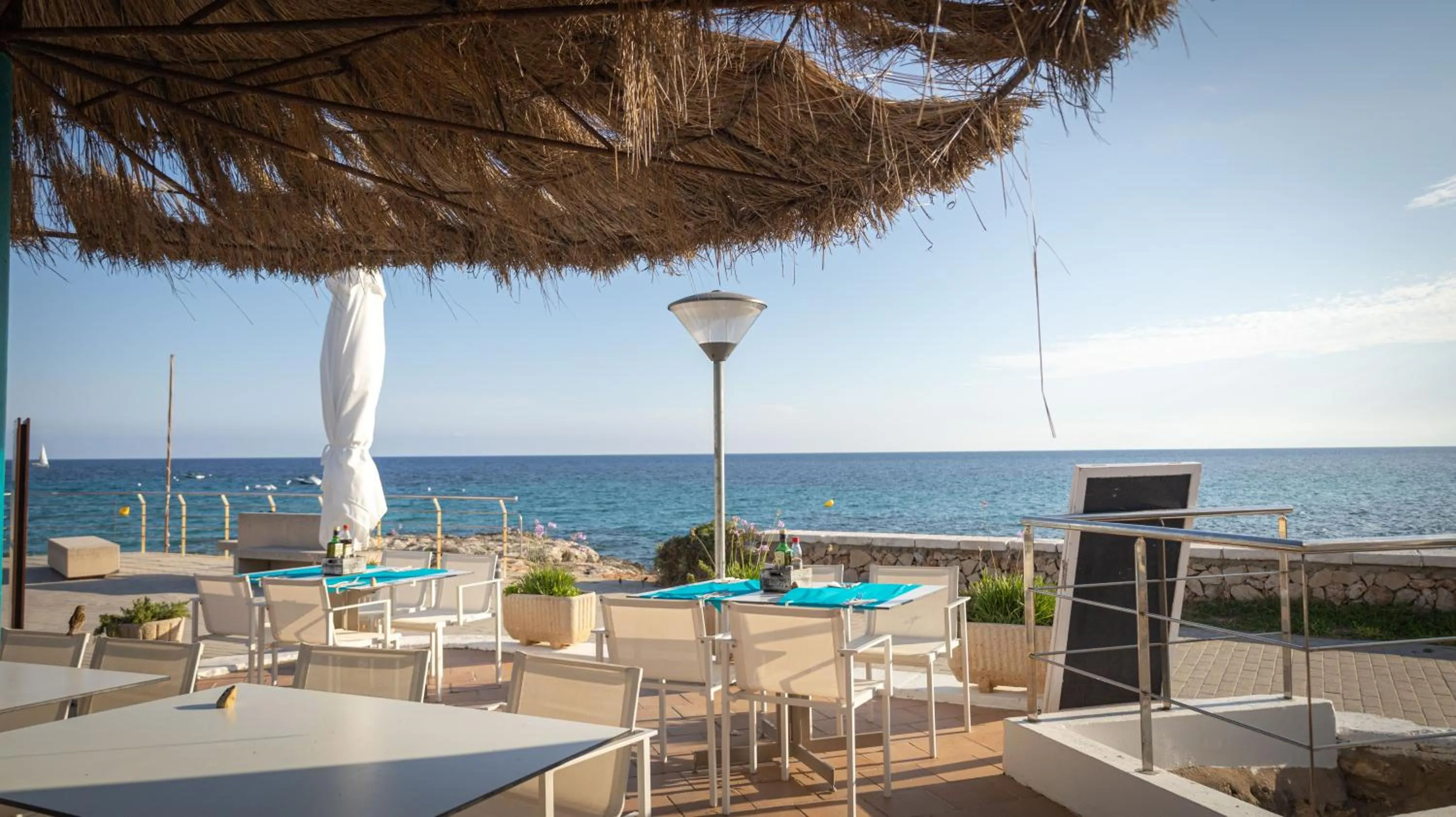 Restaurant/places to eat in Seth Santo Tomás