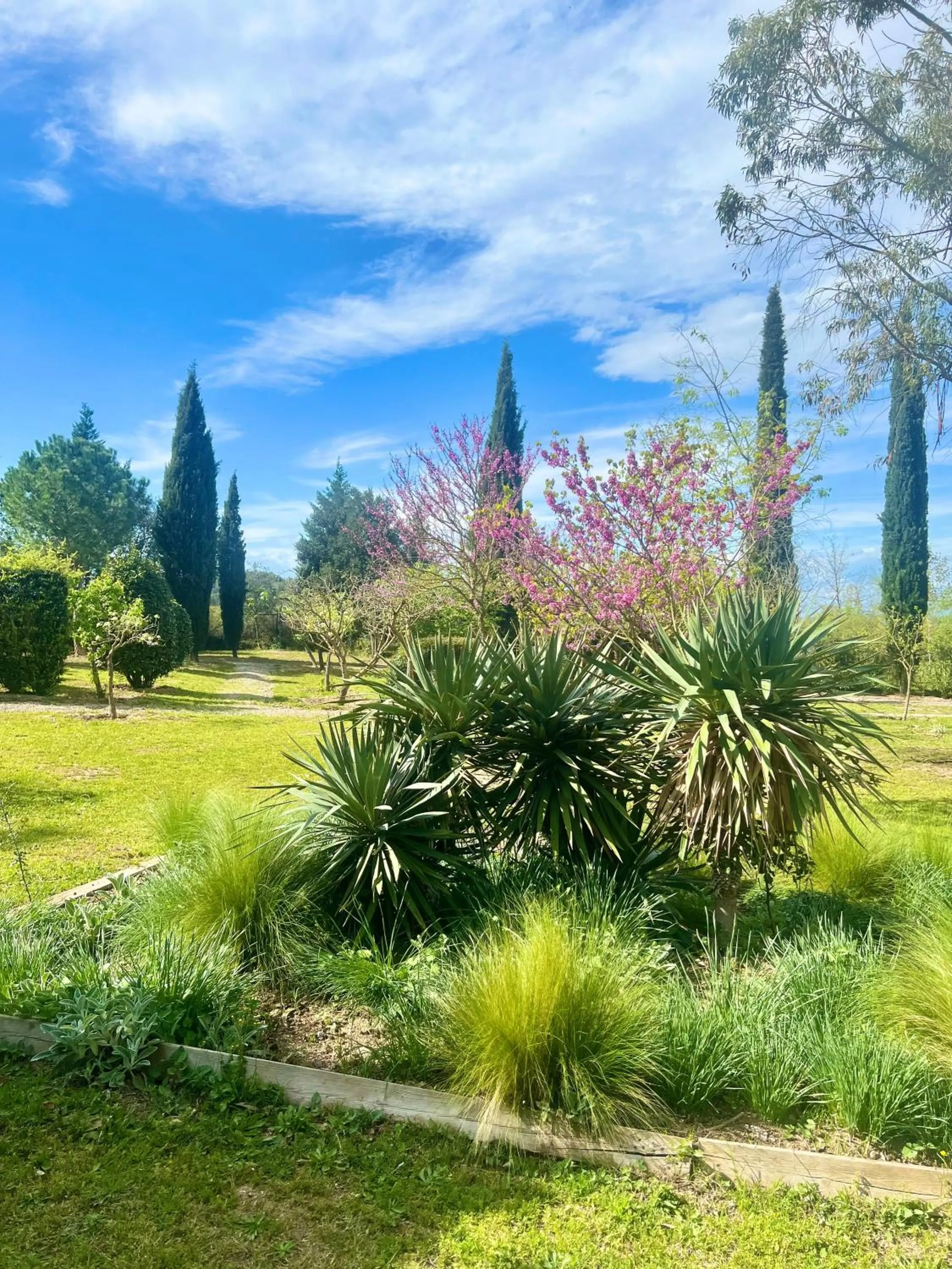 Garden in Hotel Aatu - Adults Only