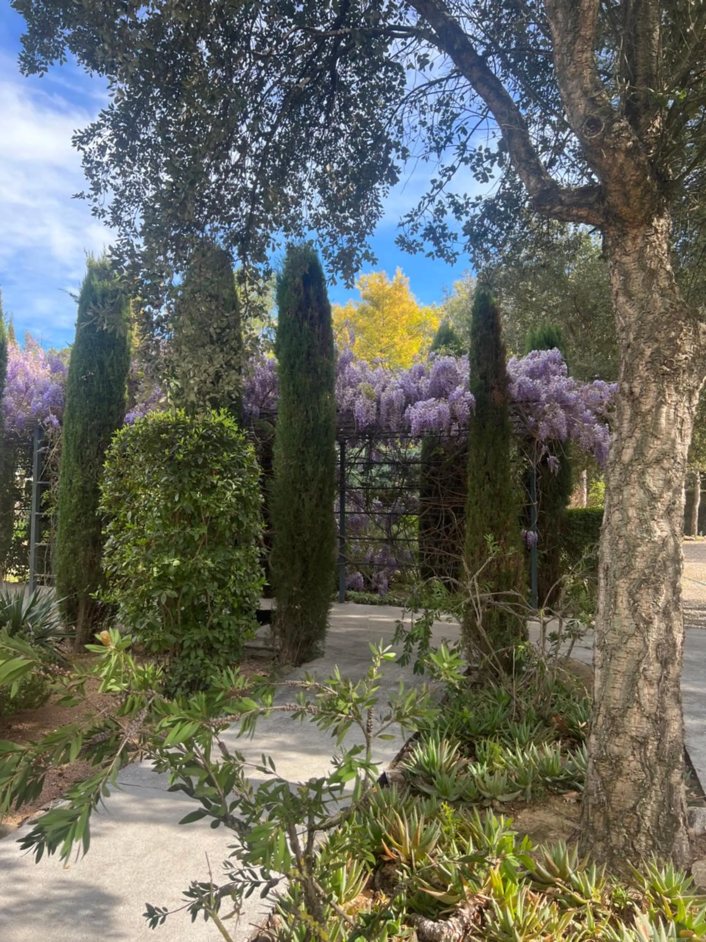 Garden in Hotel Aatu - Adults Only