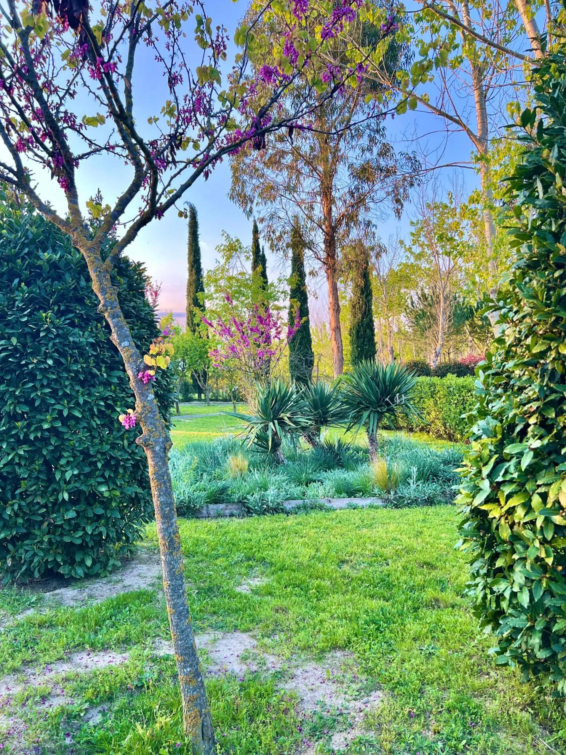 Garden in Hotel Aatu - Adults Only