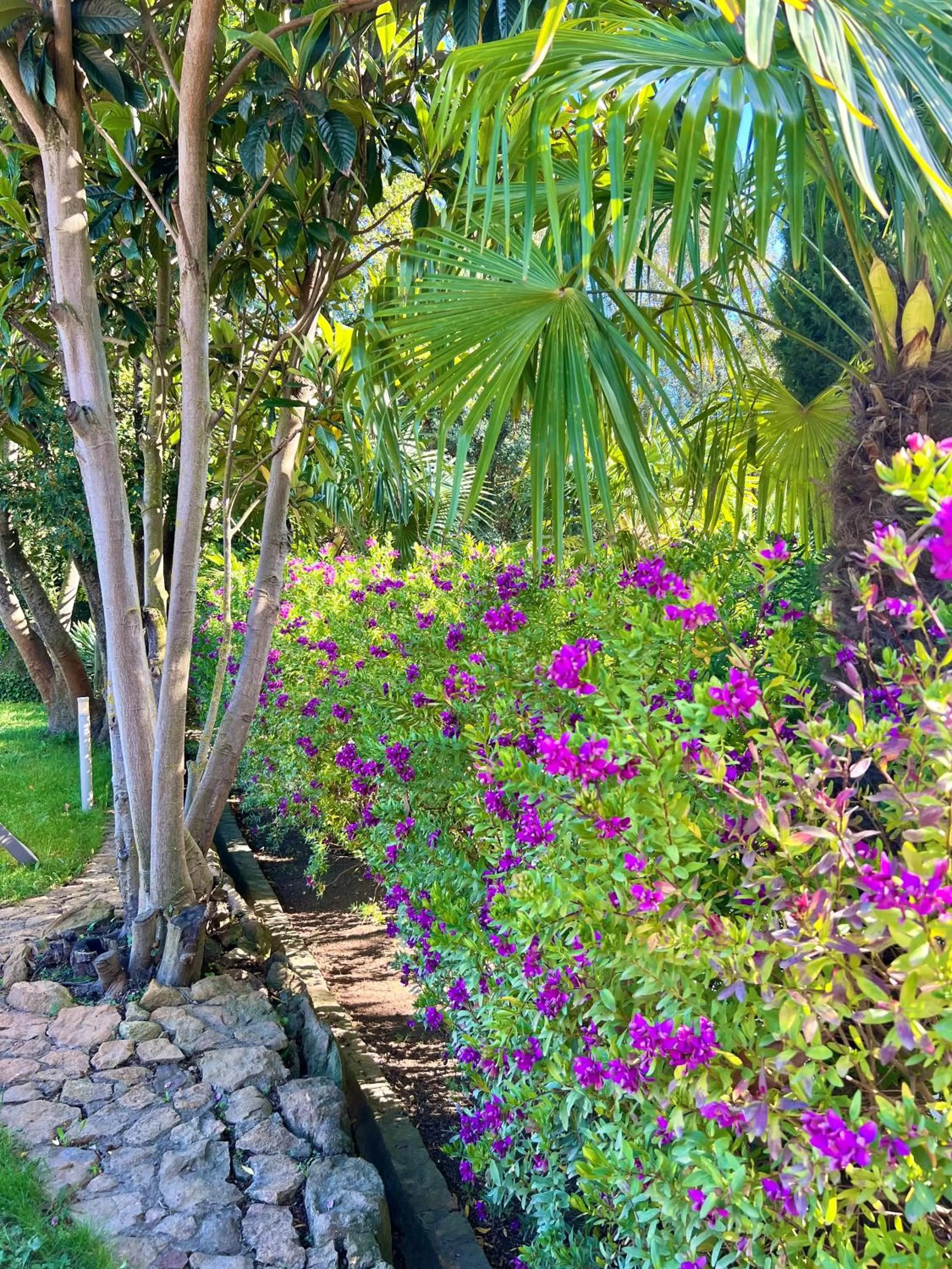 Garden in Hotel Aatu - Adults Only
