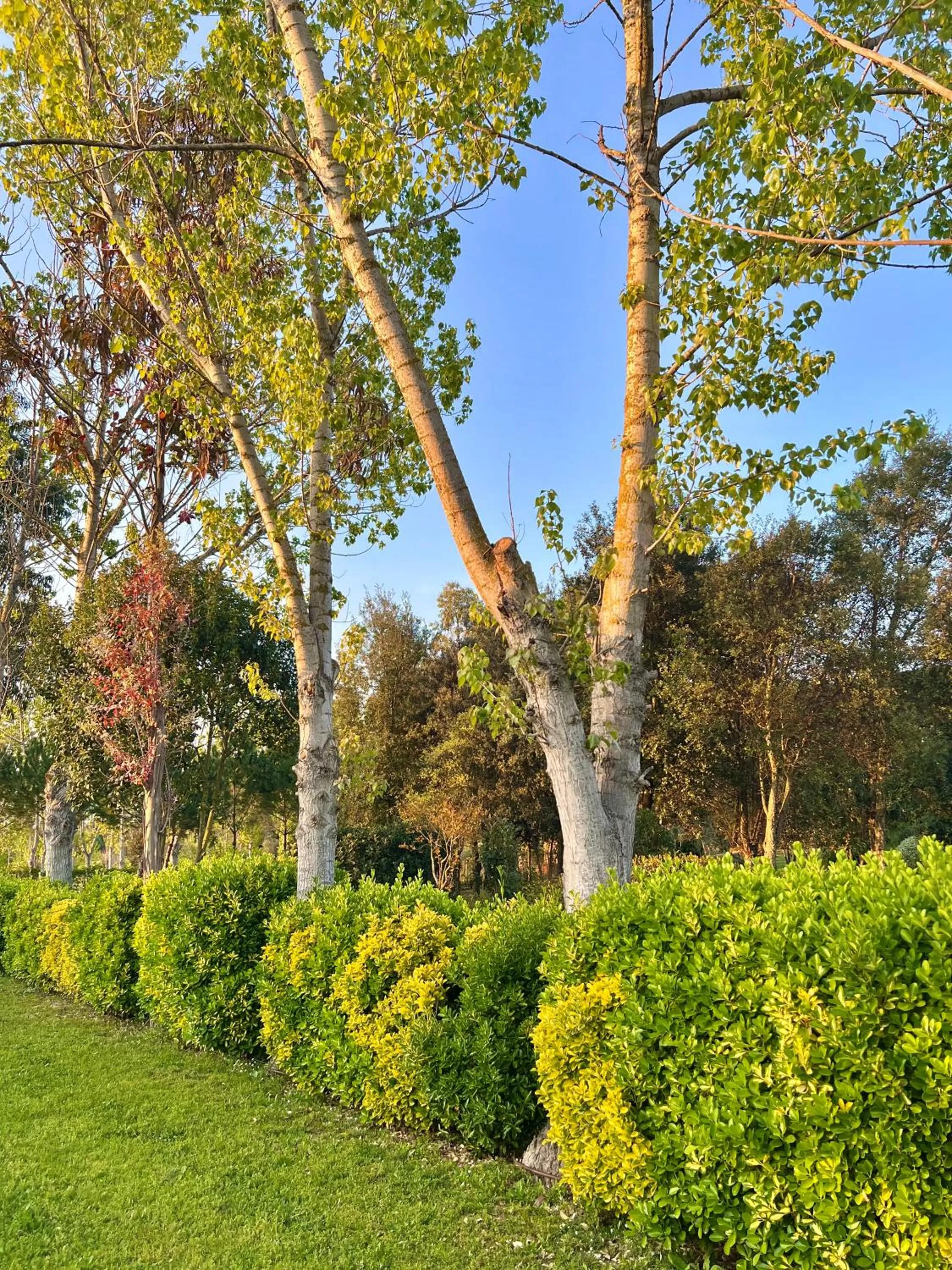Garden in Hotel Aatu - Adults Only
