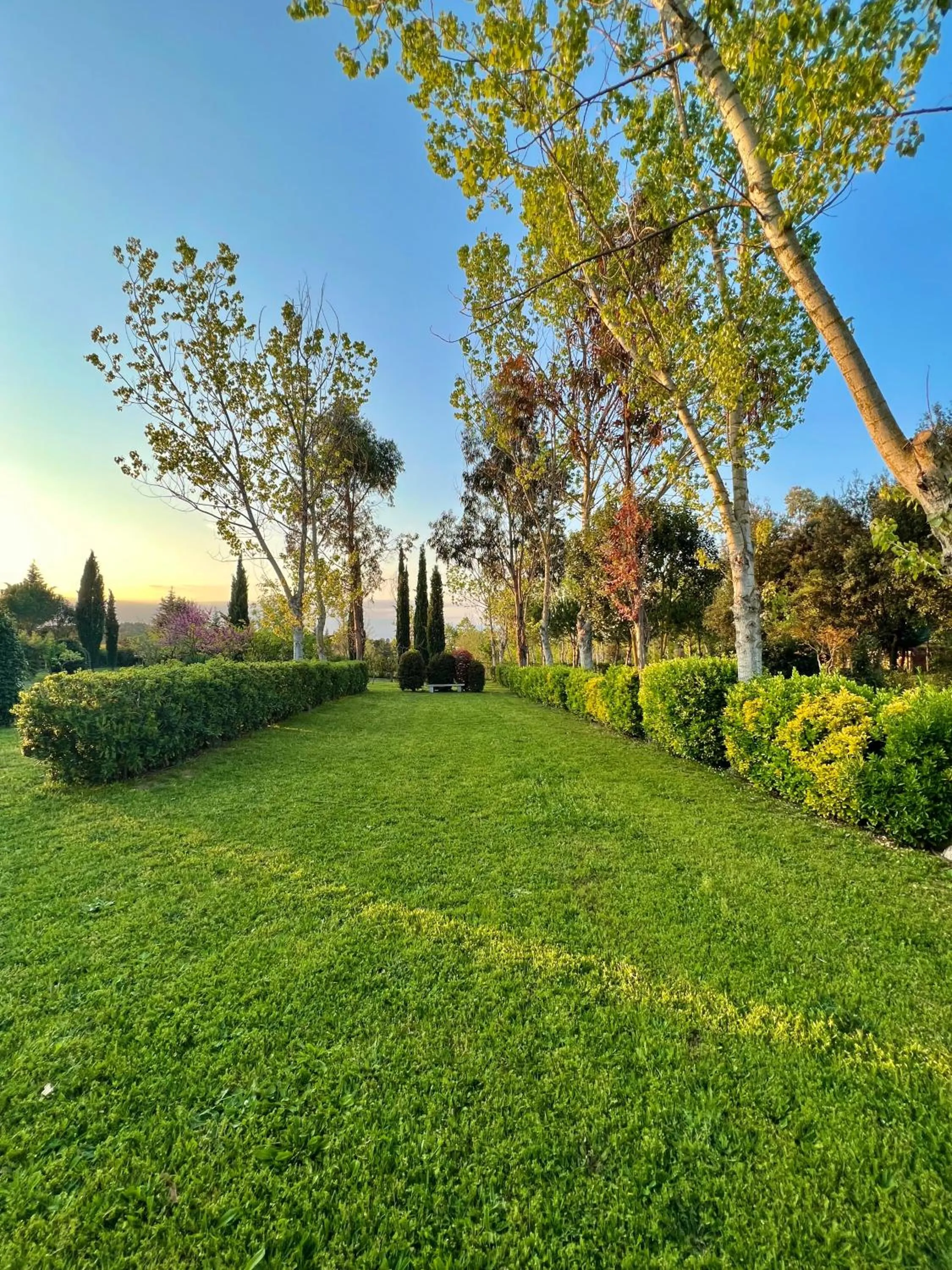 Garden in Hotel Aatu - Adults Only