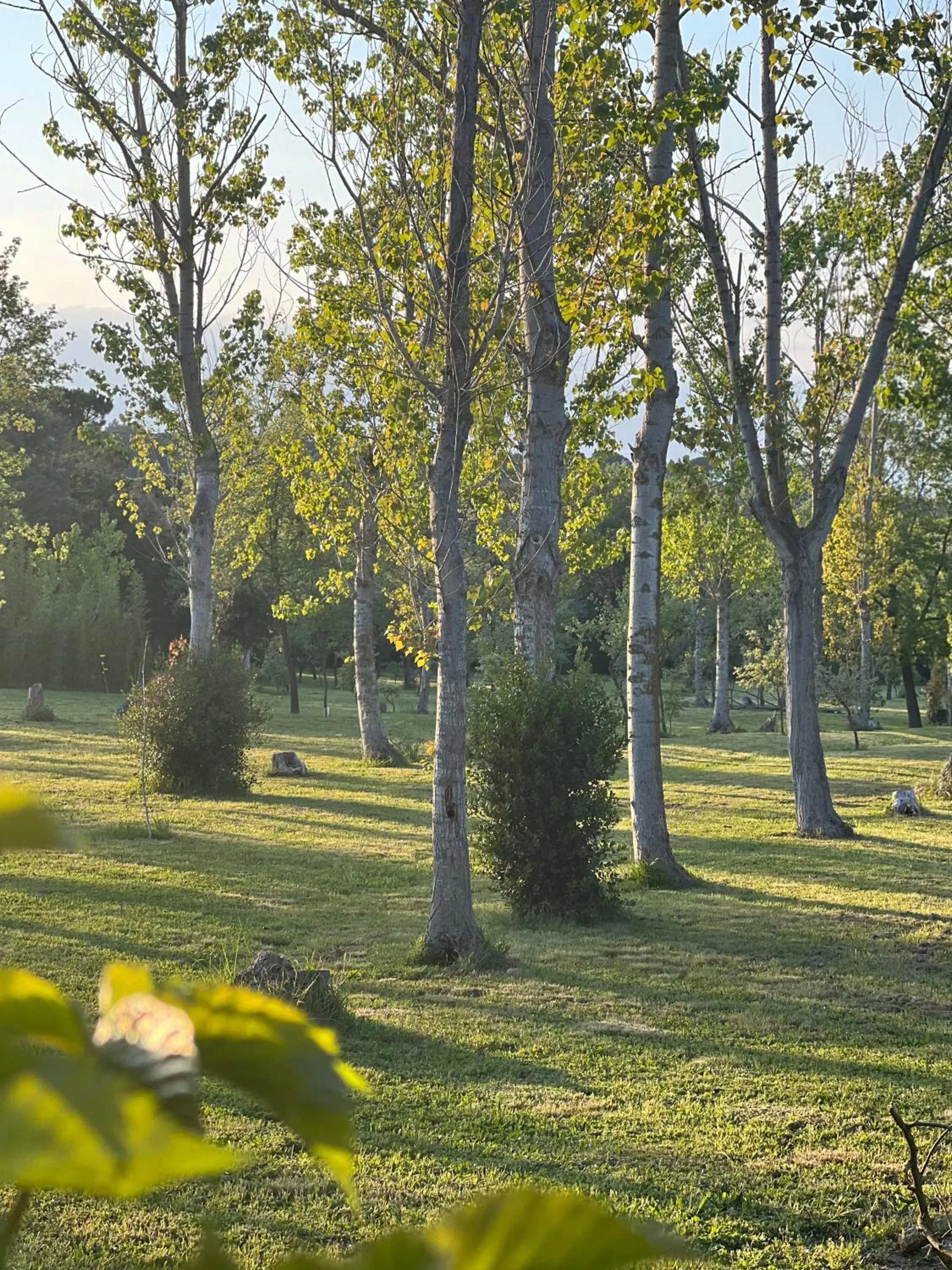 Garden in Hotel Aatu - Adults Only