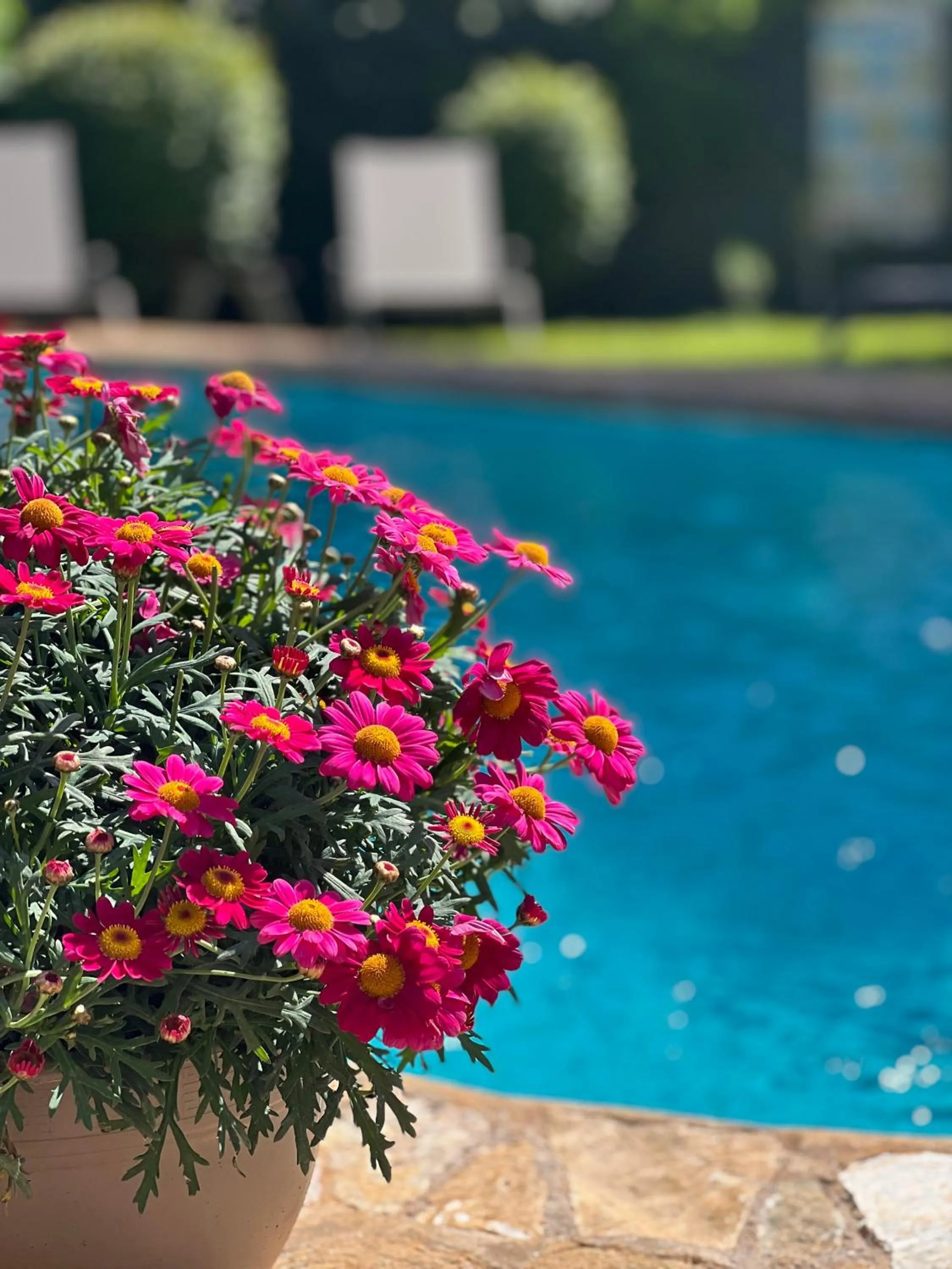 Swimming pool in Hotel Aatu - Adults Only