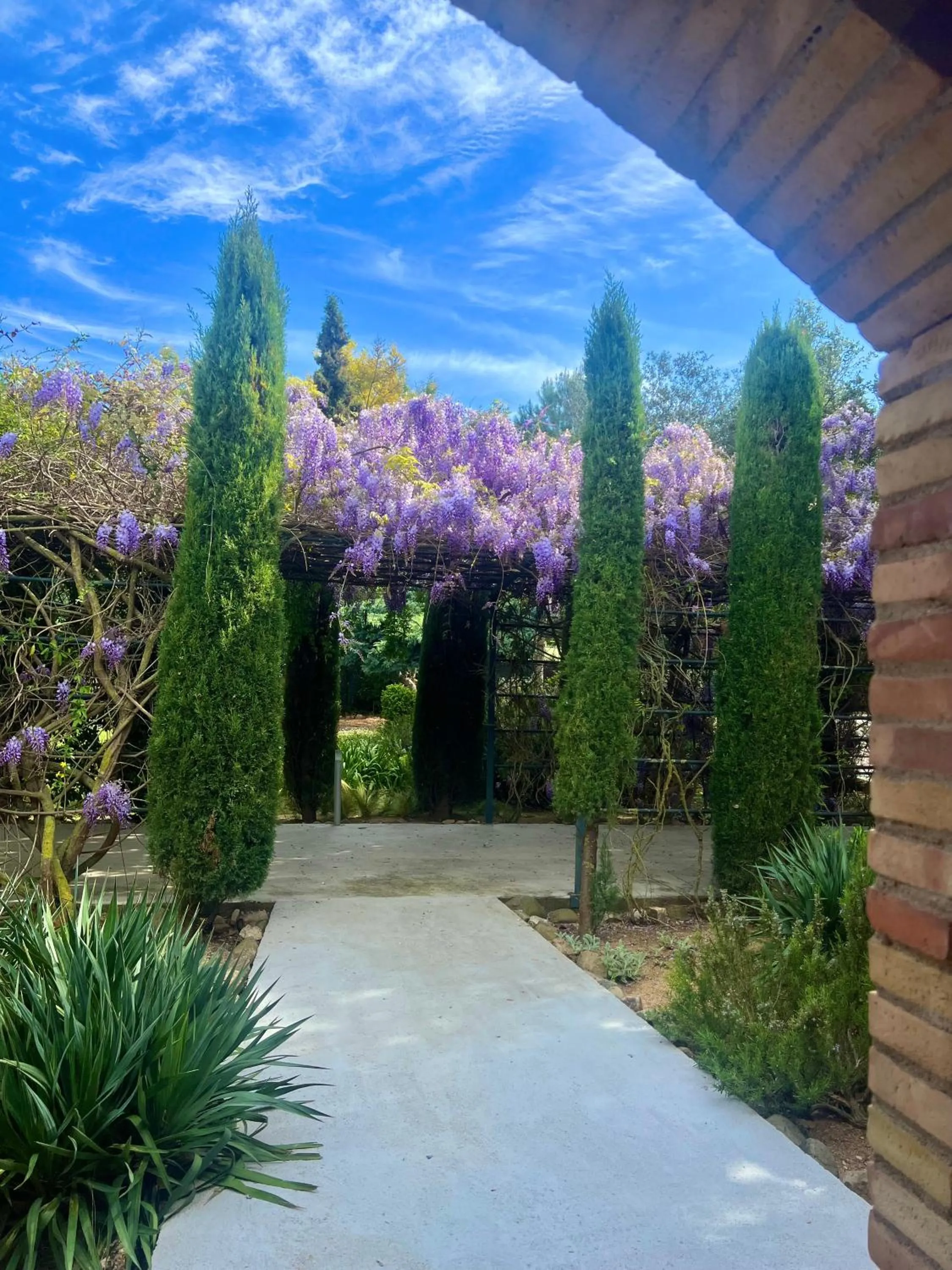 Garden in Hotel Aatu - Adults Only