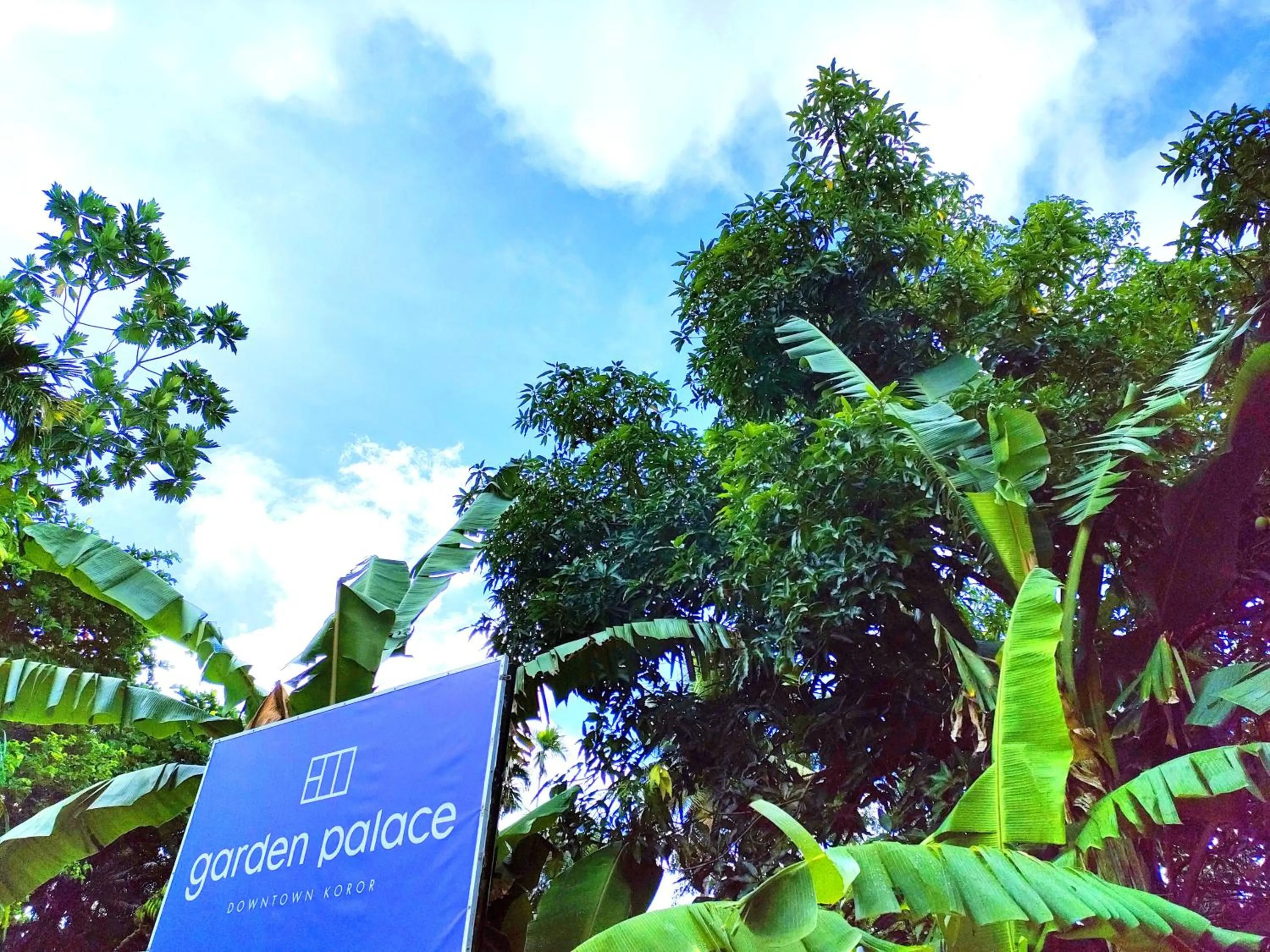 Natural landscape in Garden Palace Downtown Koror