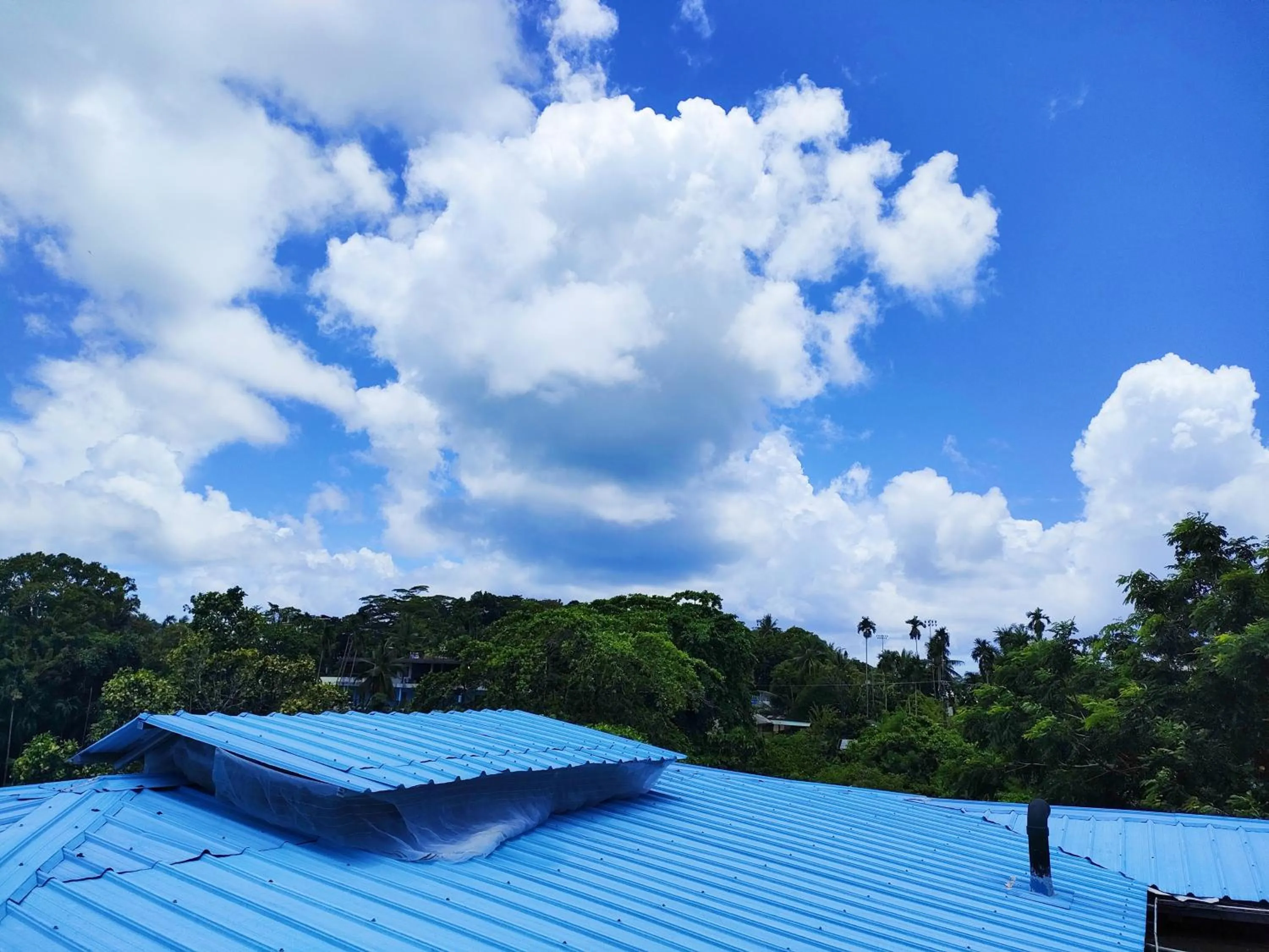 Natural landscape in Garden Palace Downtown Koror