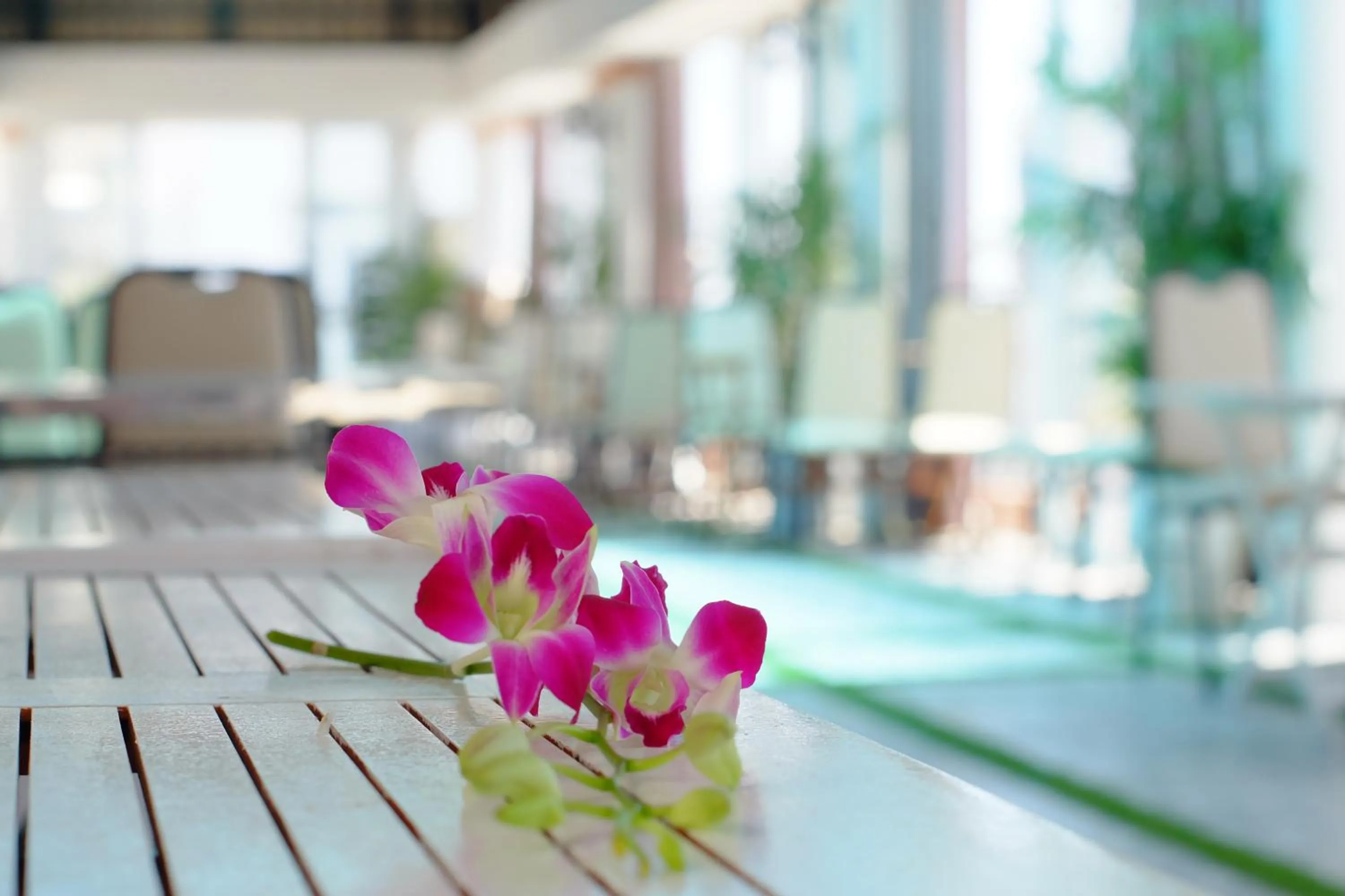 Restaurant/places to eat in Thành Hoàng Châu Boutique Hotel