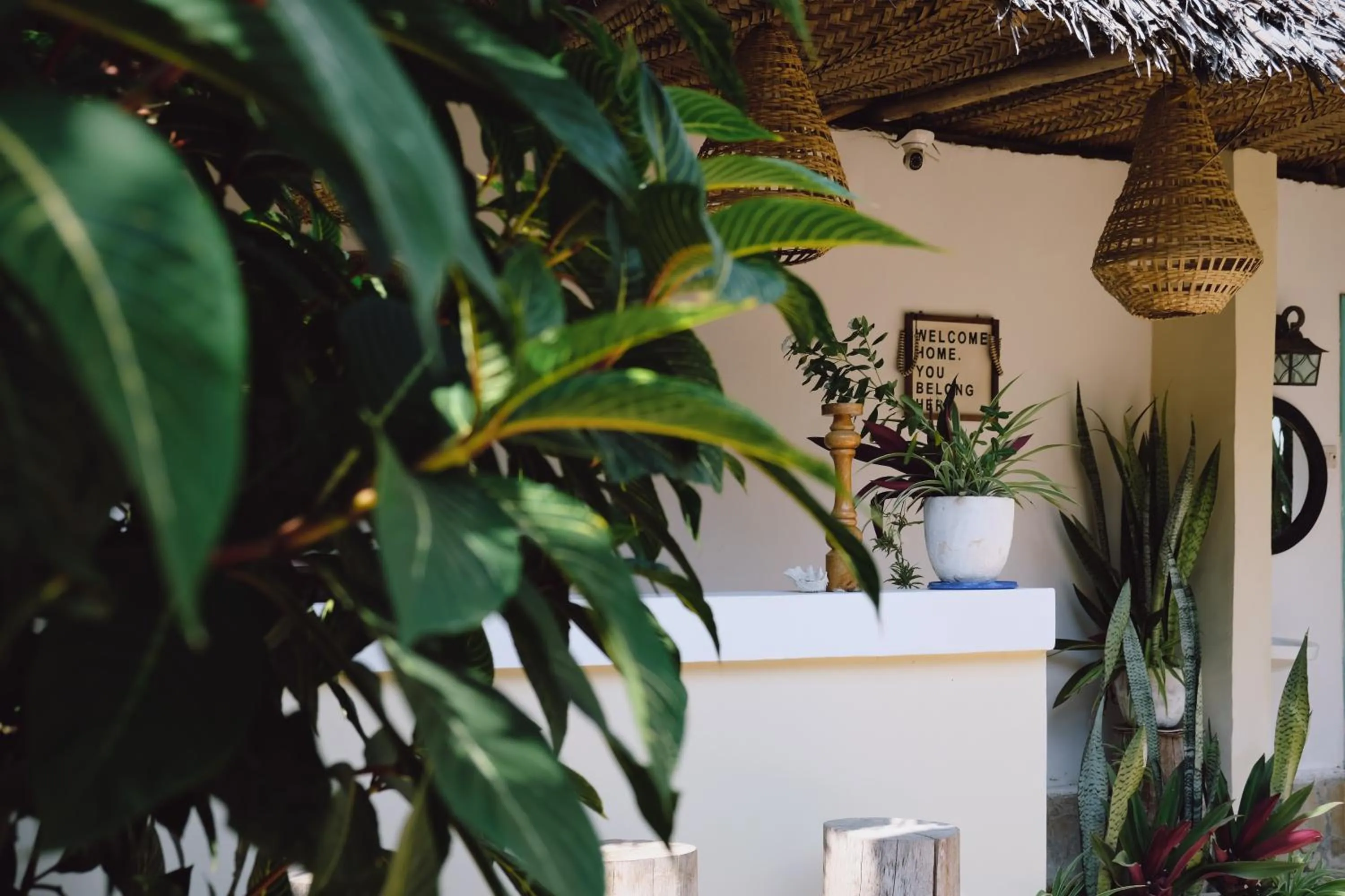 Lobby or reception in Sofia Sea View