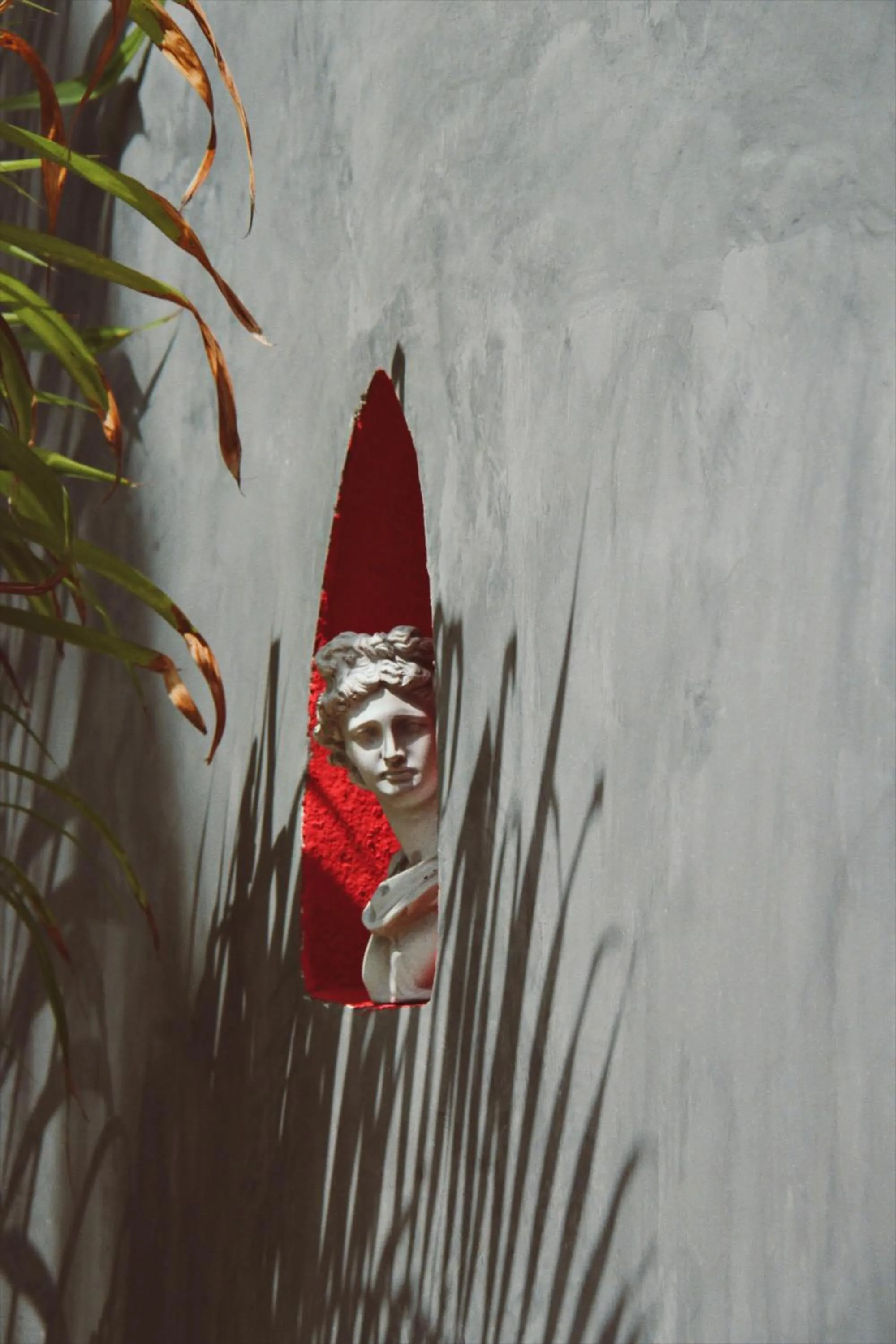 Property building in Sofia Sea View