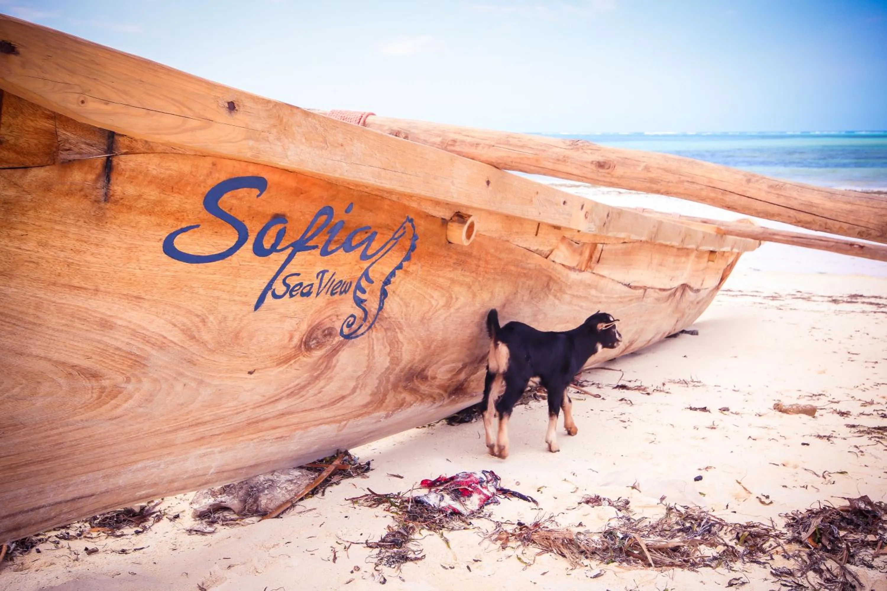 Natural landscape in Sofia Sea View