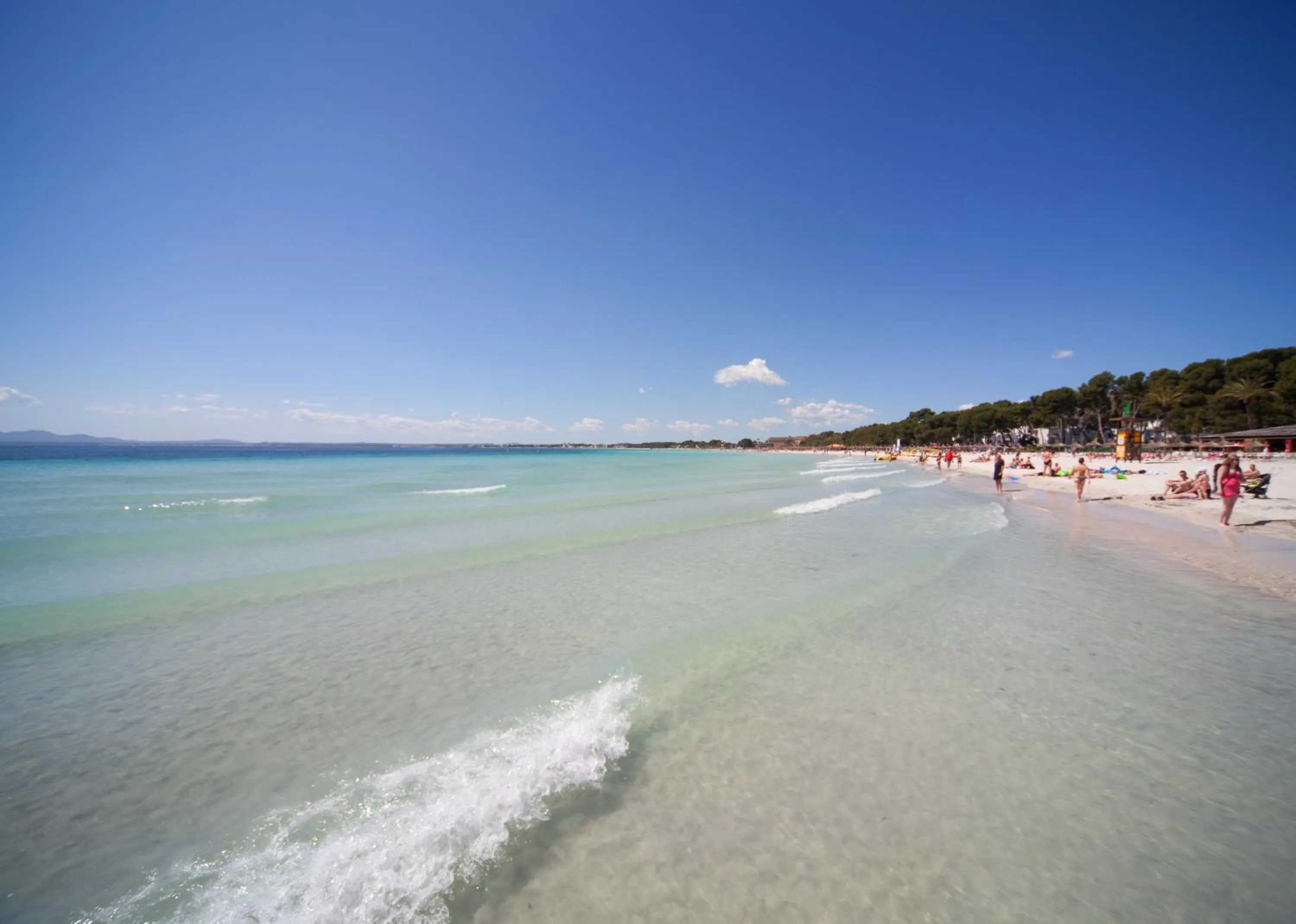 Day in Apartamentos Ferrer Lime Tamarindos