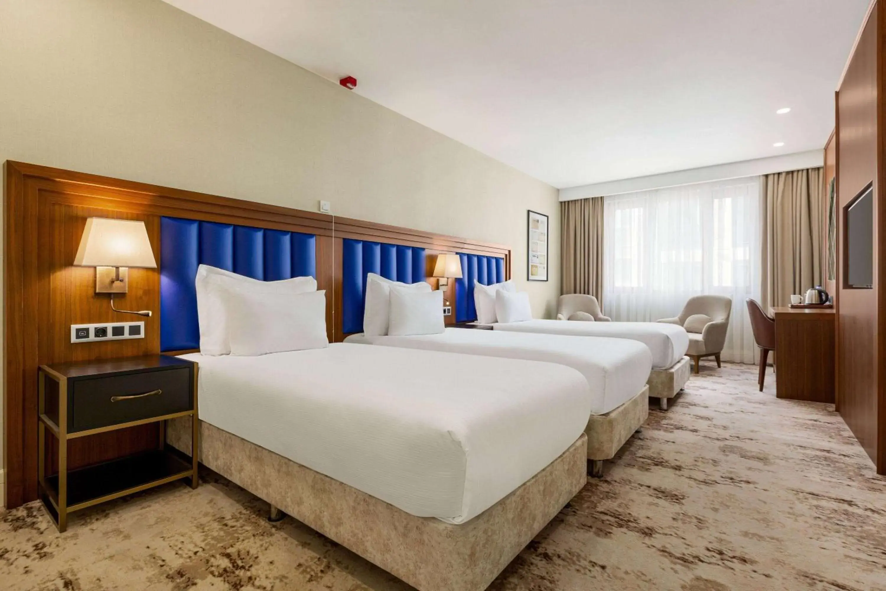 Mobility Accessible Twin Room in Ramada Plaza Sultanahmet Mobility Accessible Twin Room in Ramada Plaza Sultanahmet