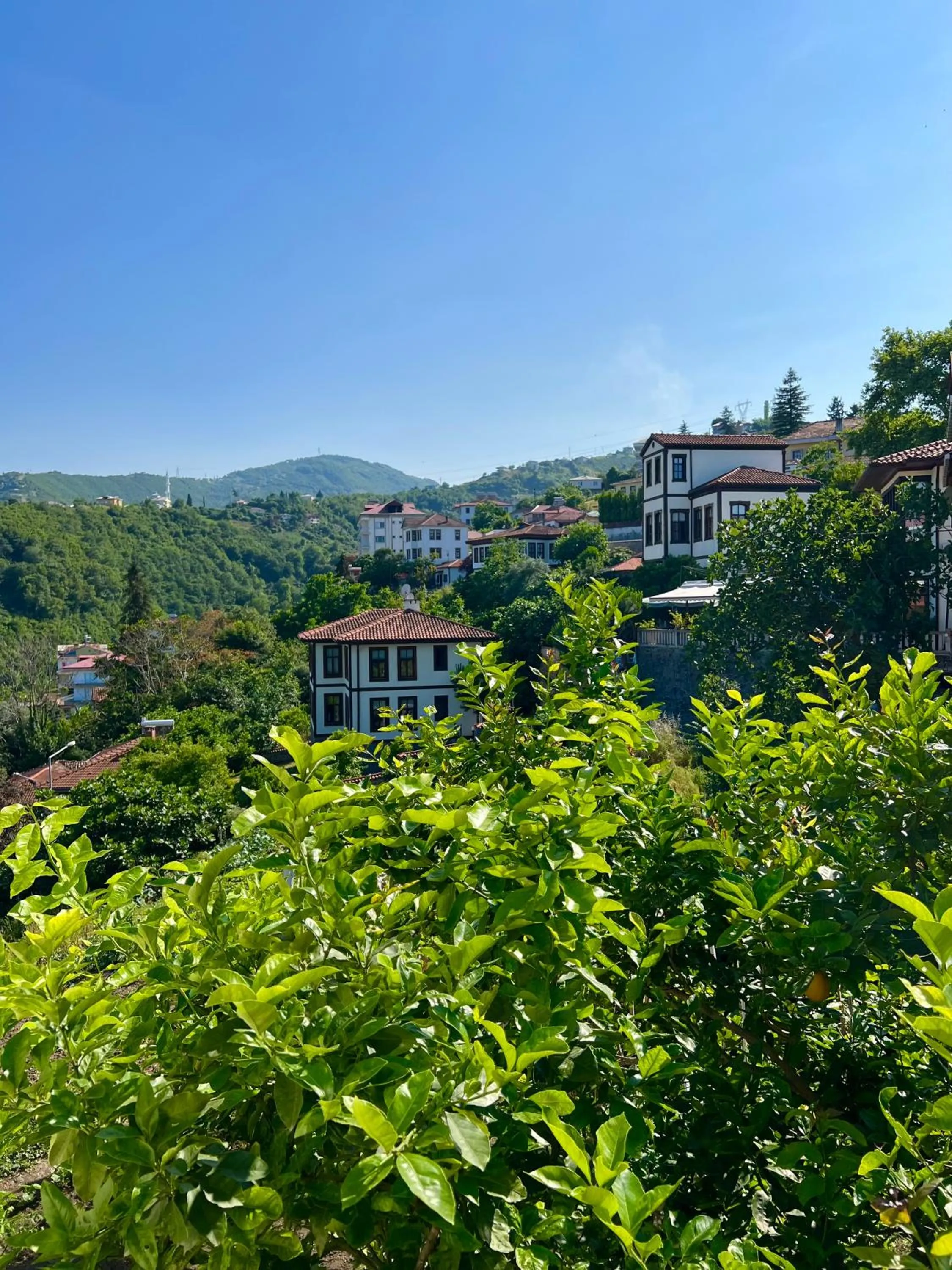 Day in Mehmet Efendi Mansion & Hotel