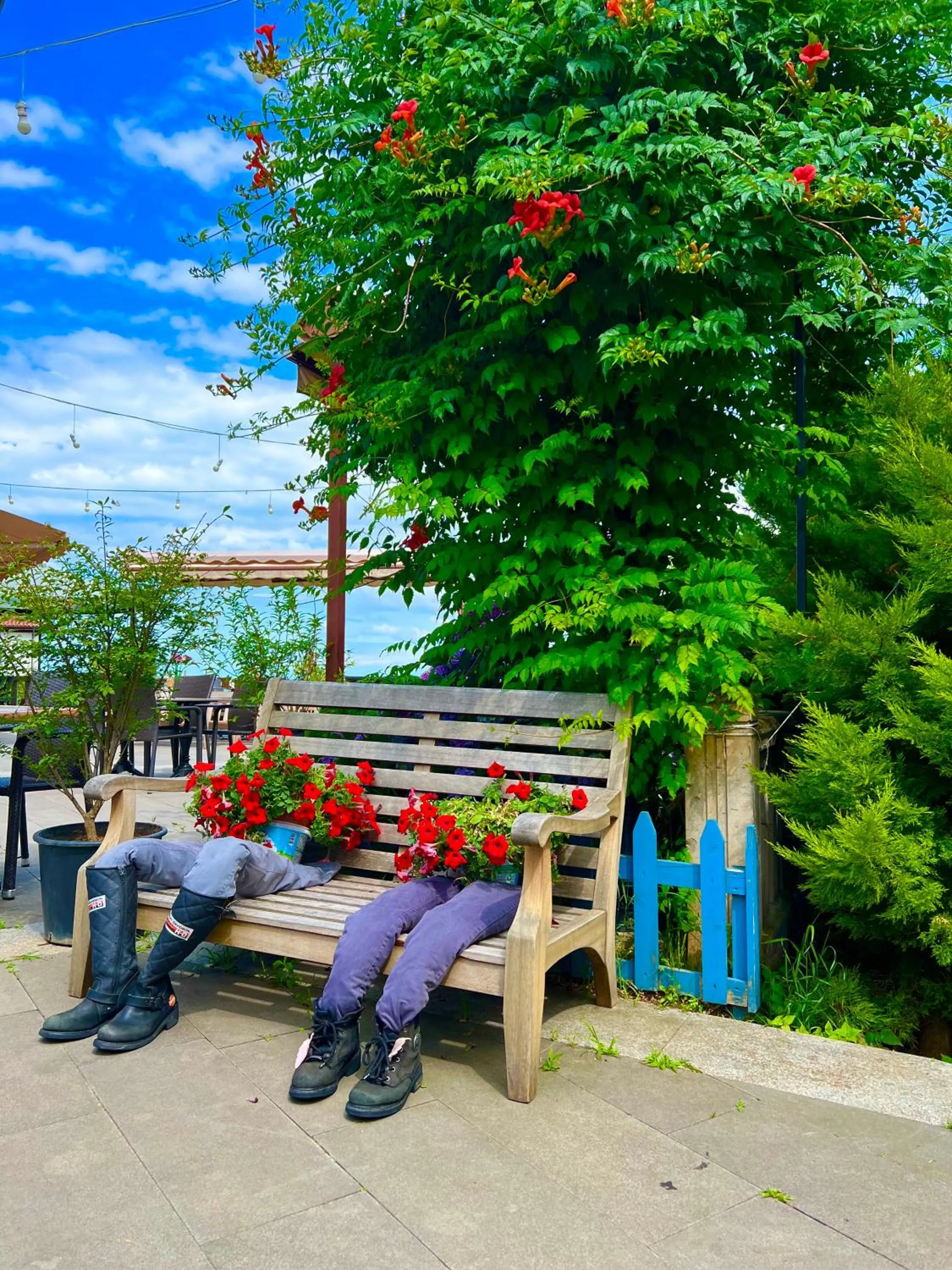 Restaurant/places to eat in Mehmet Efendi Mansion & Hotel