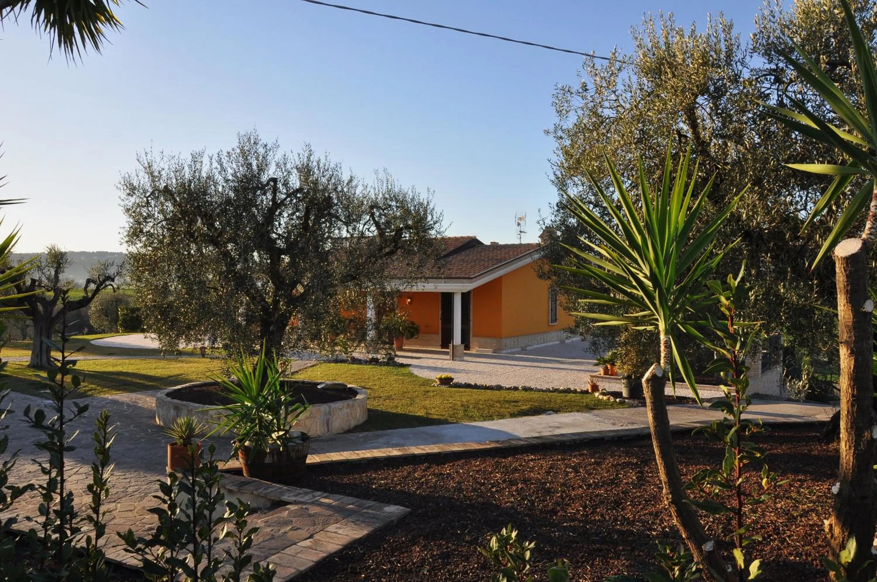 B&B Agrifoglio