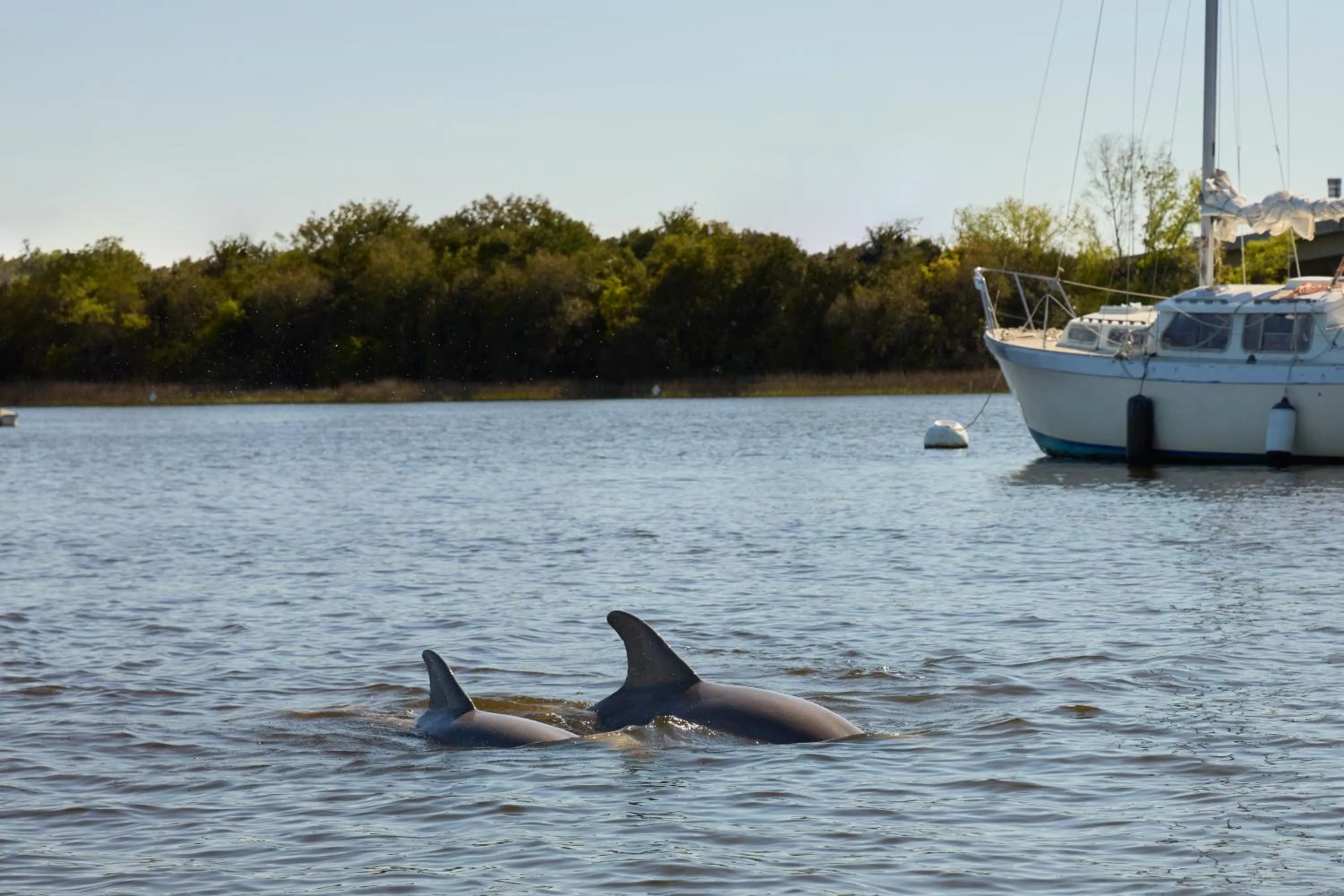 Activities in The Charleston Place