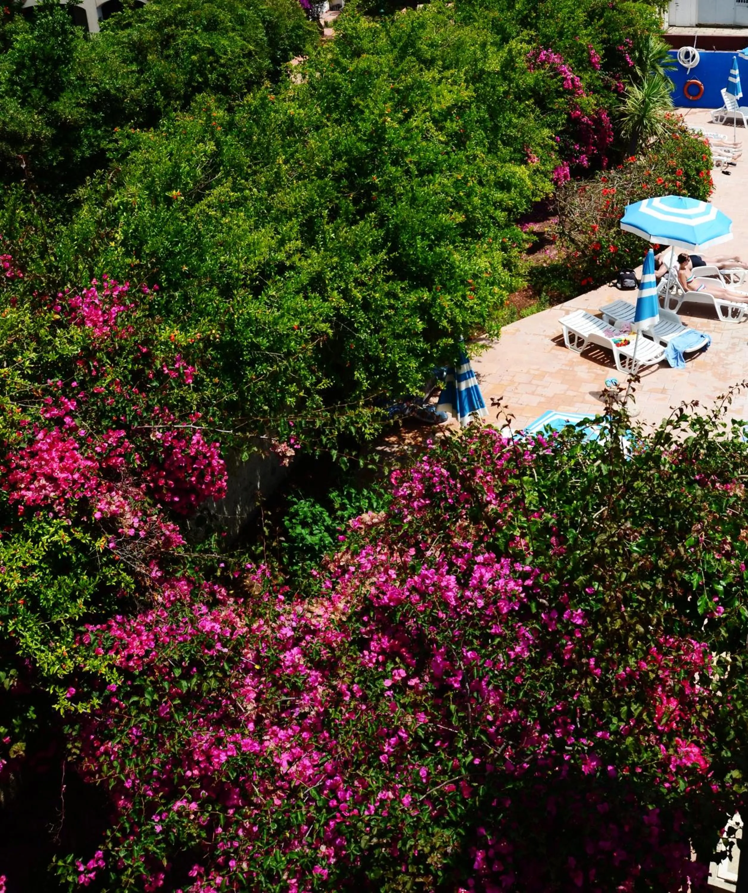 Swimming pool in Residence Eucalipti