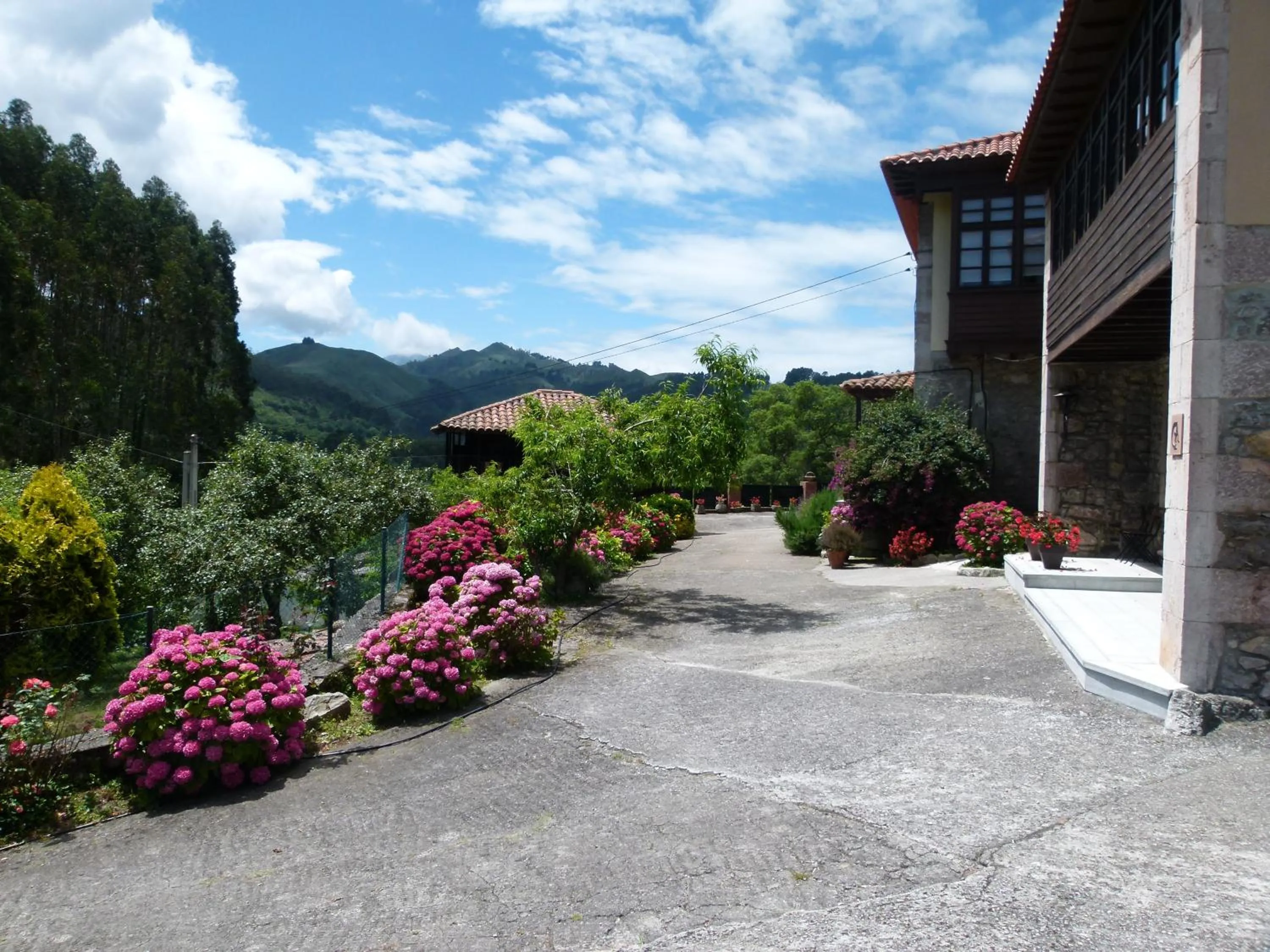 Garden view in Hotel Finca Los Venancios