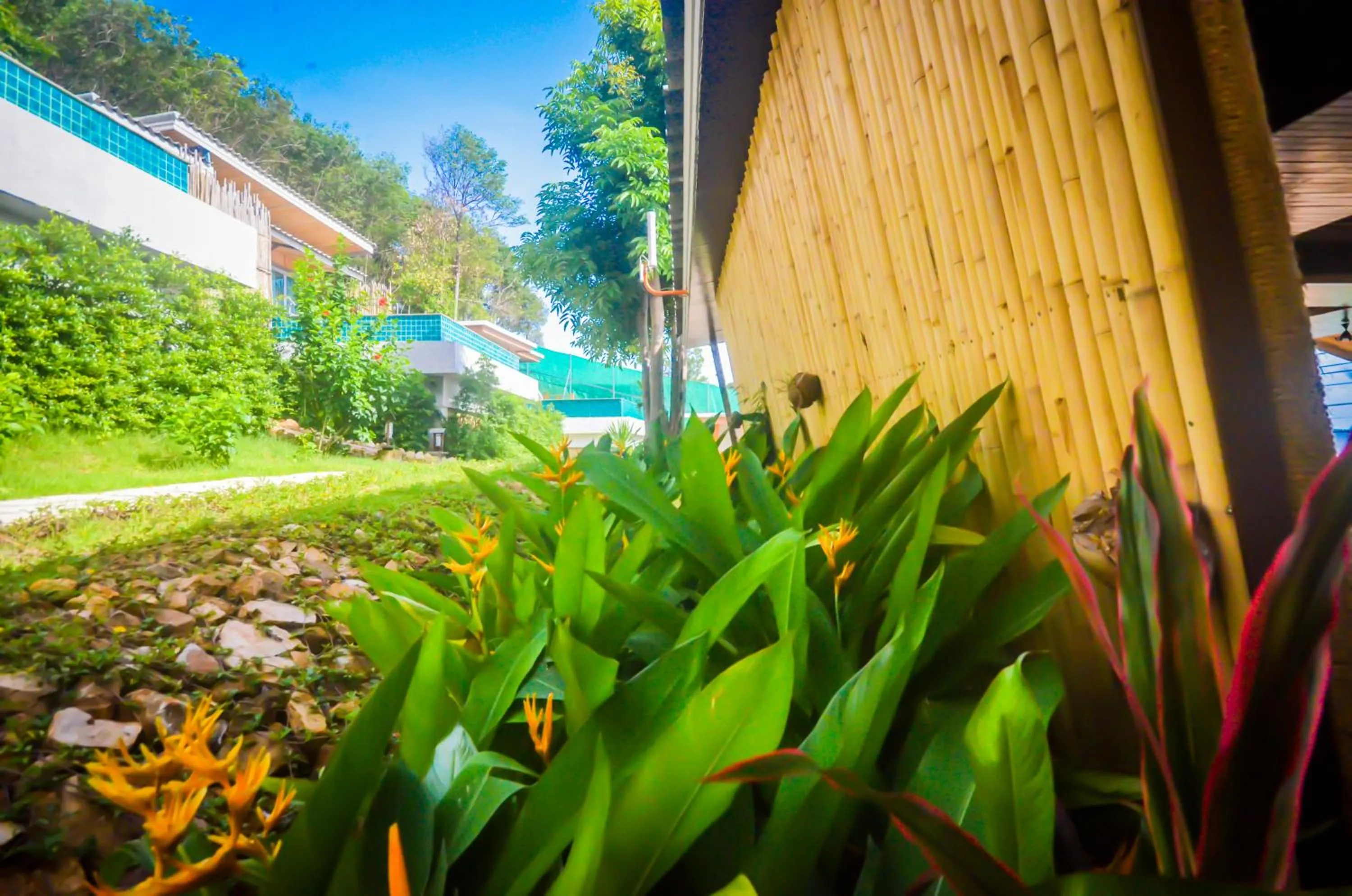 Natural landscape in Koh Yao Yai Hillside Resort