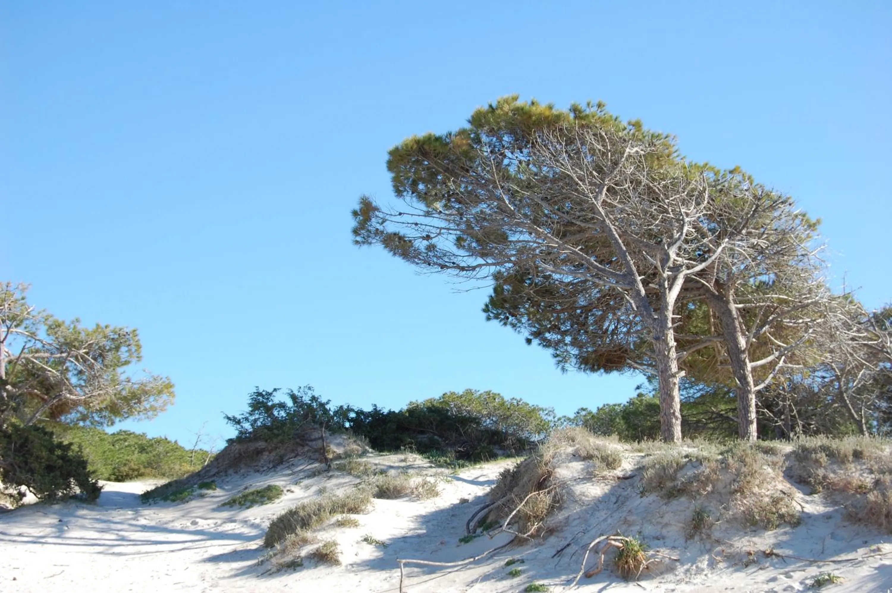 Beach in Residence Buganvillea