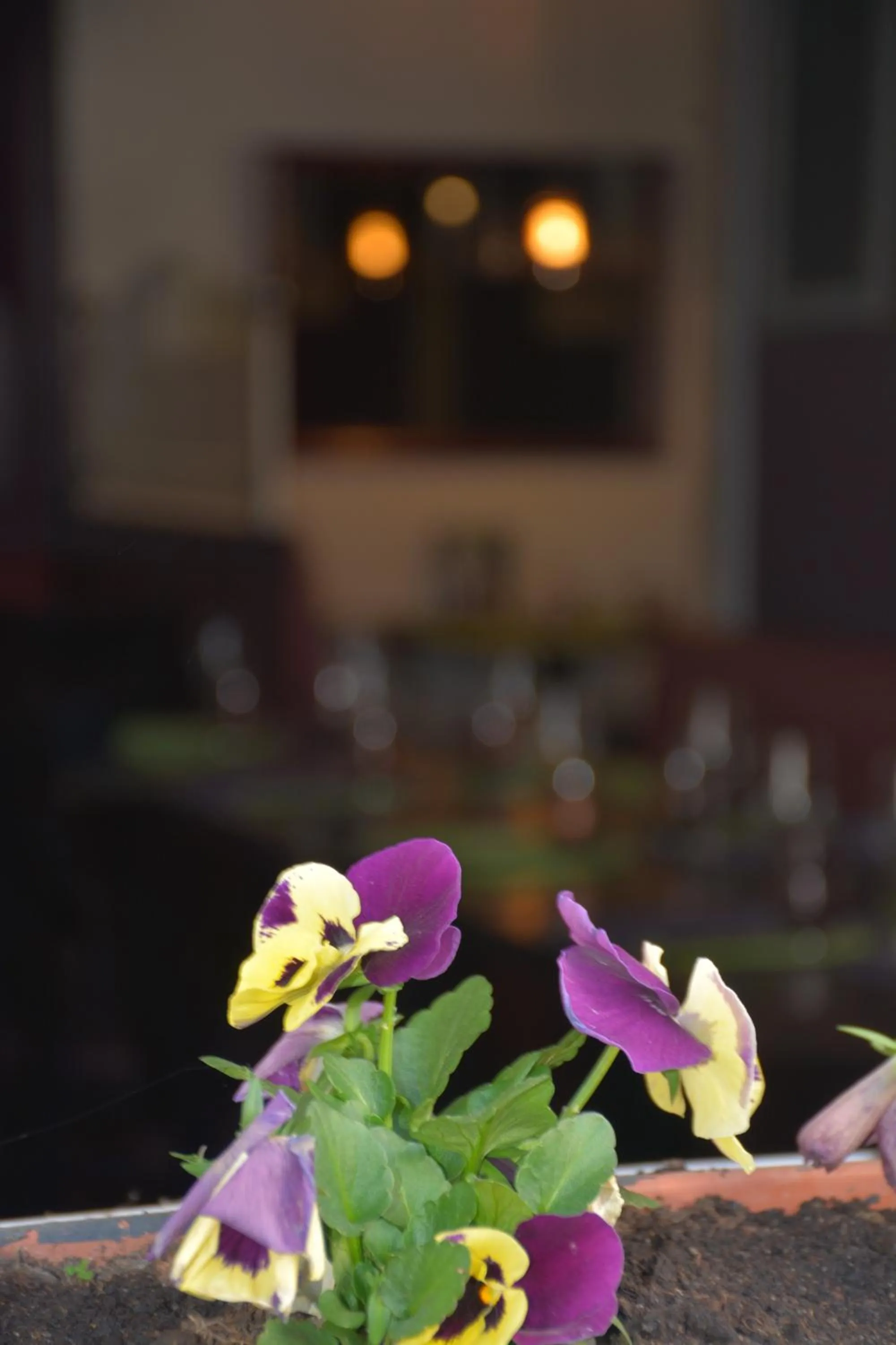 Restaurant/places to eat in L'Auberg'ine - Maison Glenn Anna