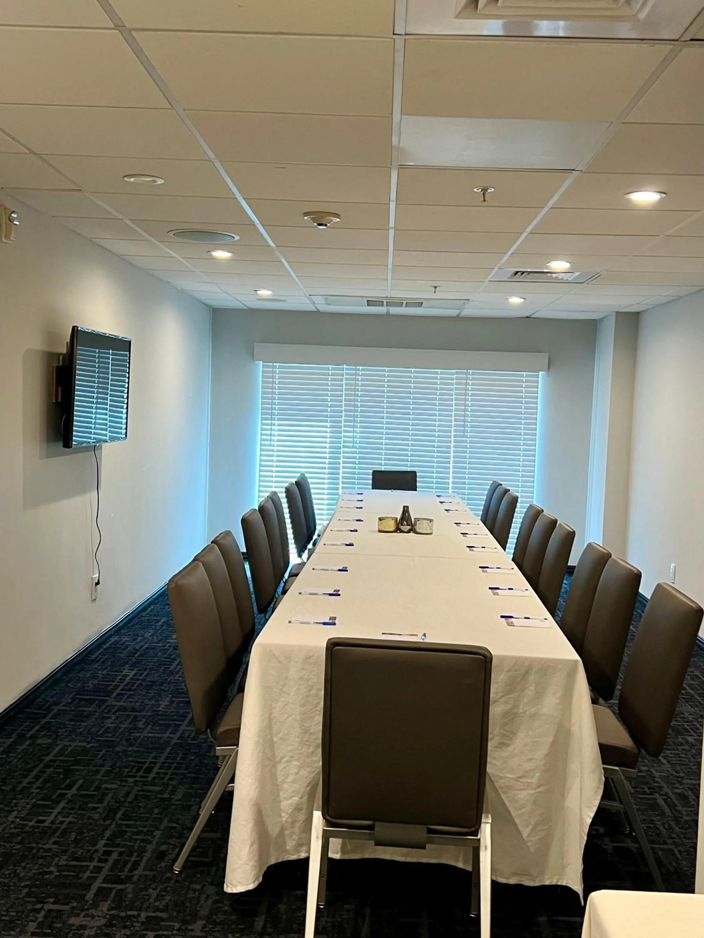 Meeting/conference room in TRYP by Wyndham Savannah