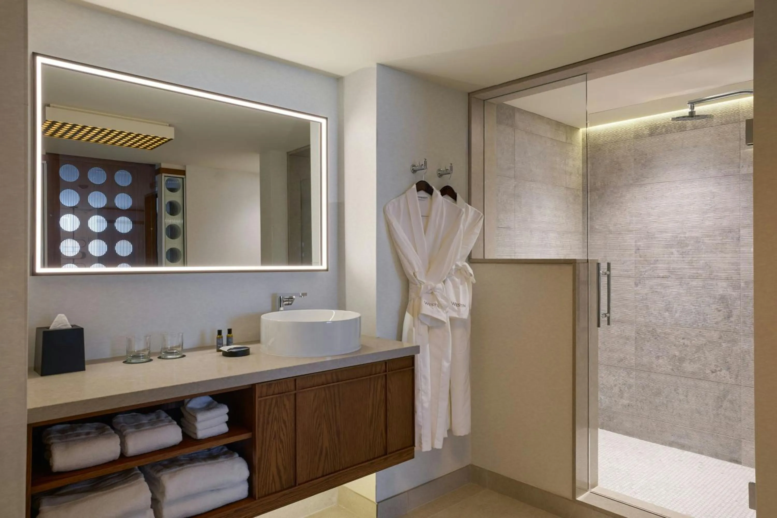 Bathroom in The Westin Detroit Metropolitan Airport