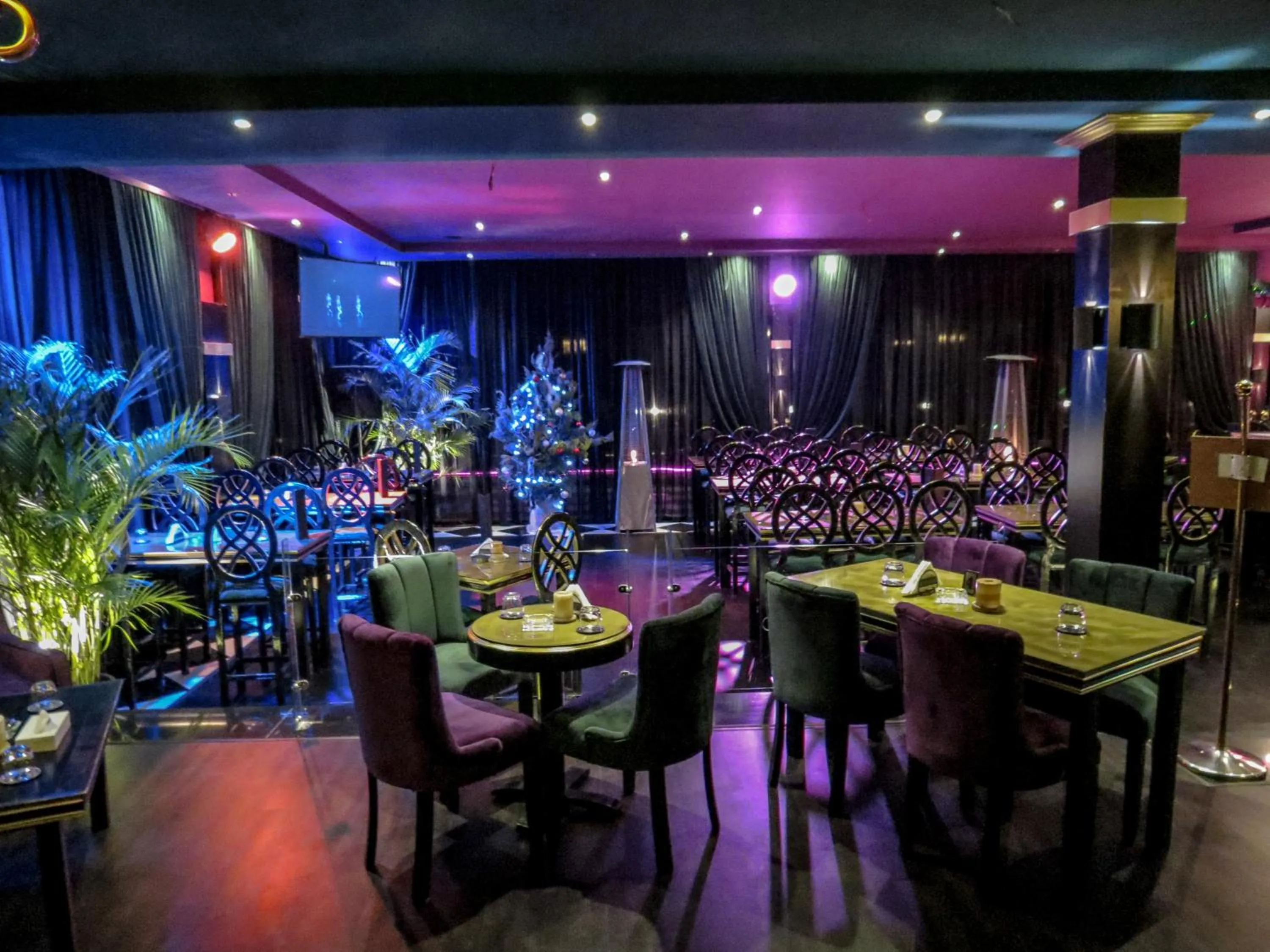 Nightclub / DJ in Windsor Palace Luxury Heritage Hotel Since 1906 by Paradise Inn Group