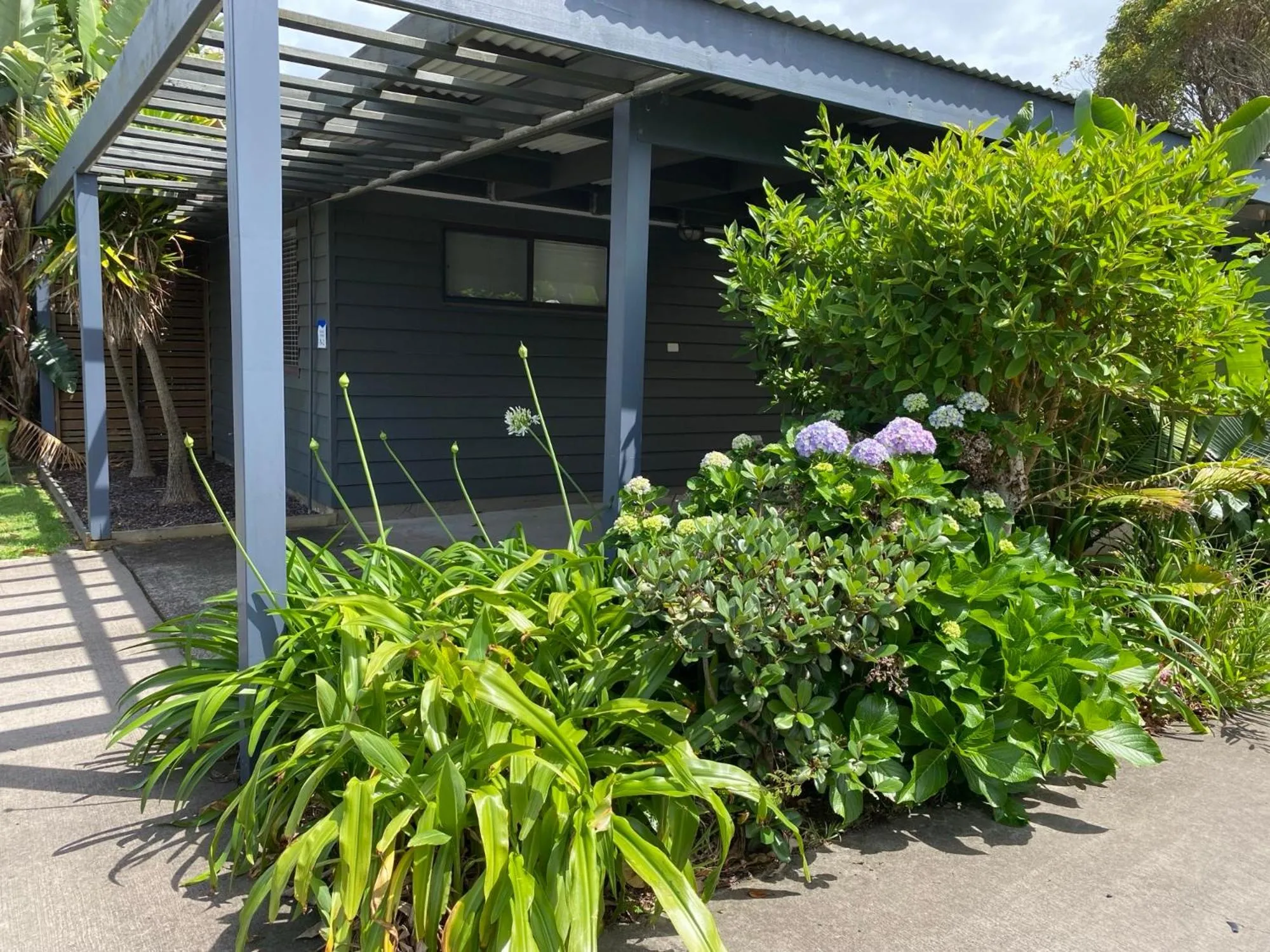 Garden in Serenity Diamond Beach