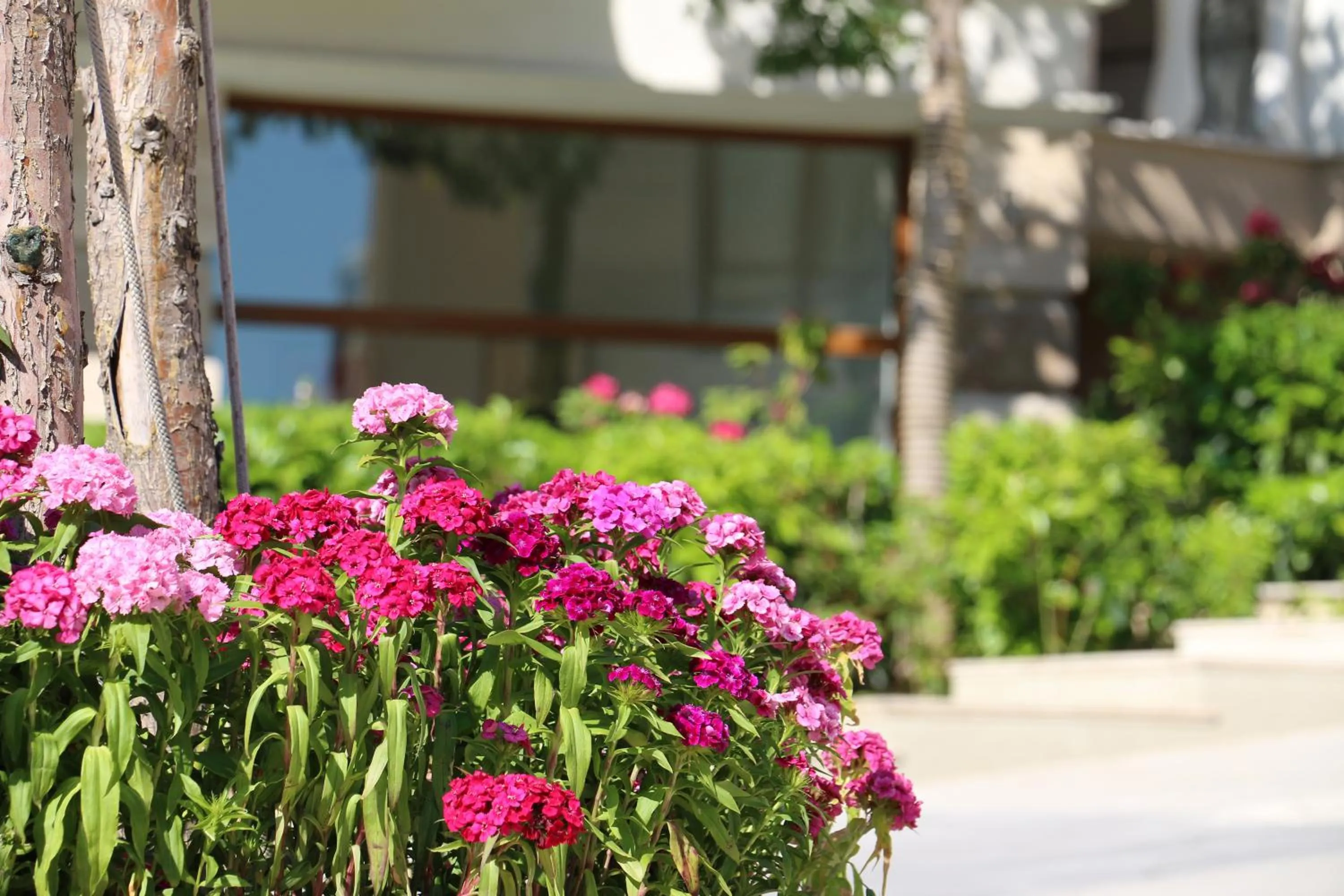 Property building in La Mer Residence