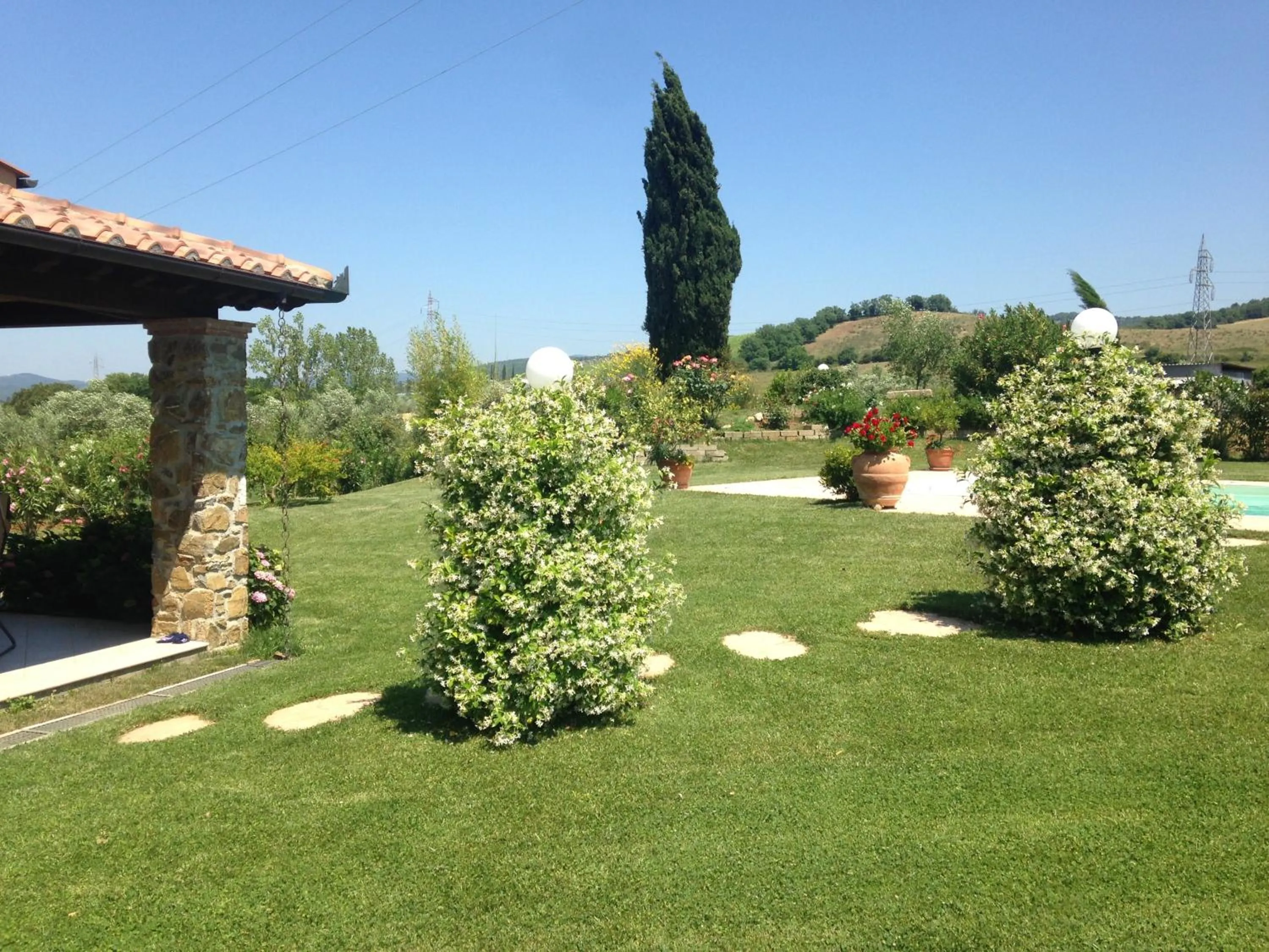 Garden view in Tonini House
