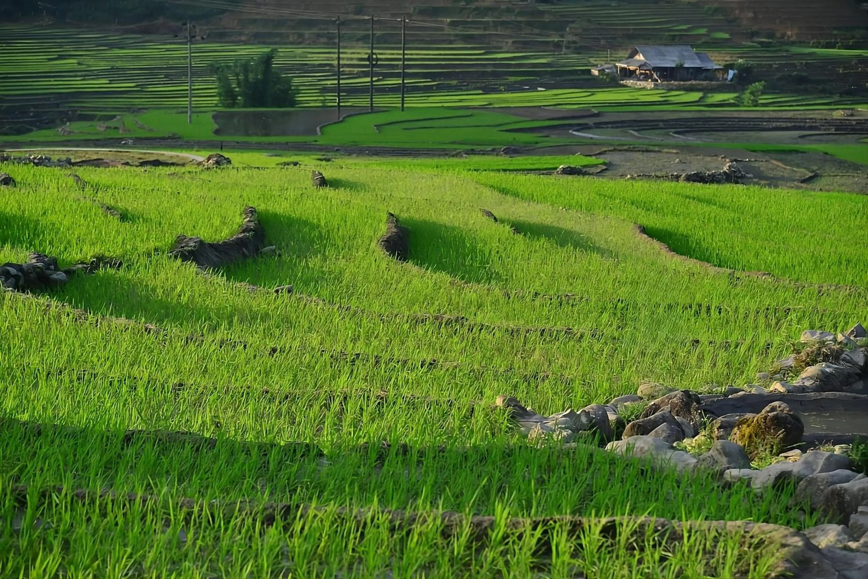 Spring in BB Sapa Resort & Spa - Formerly Victoria Sapa Resort & Spa