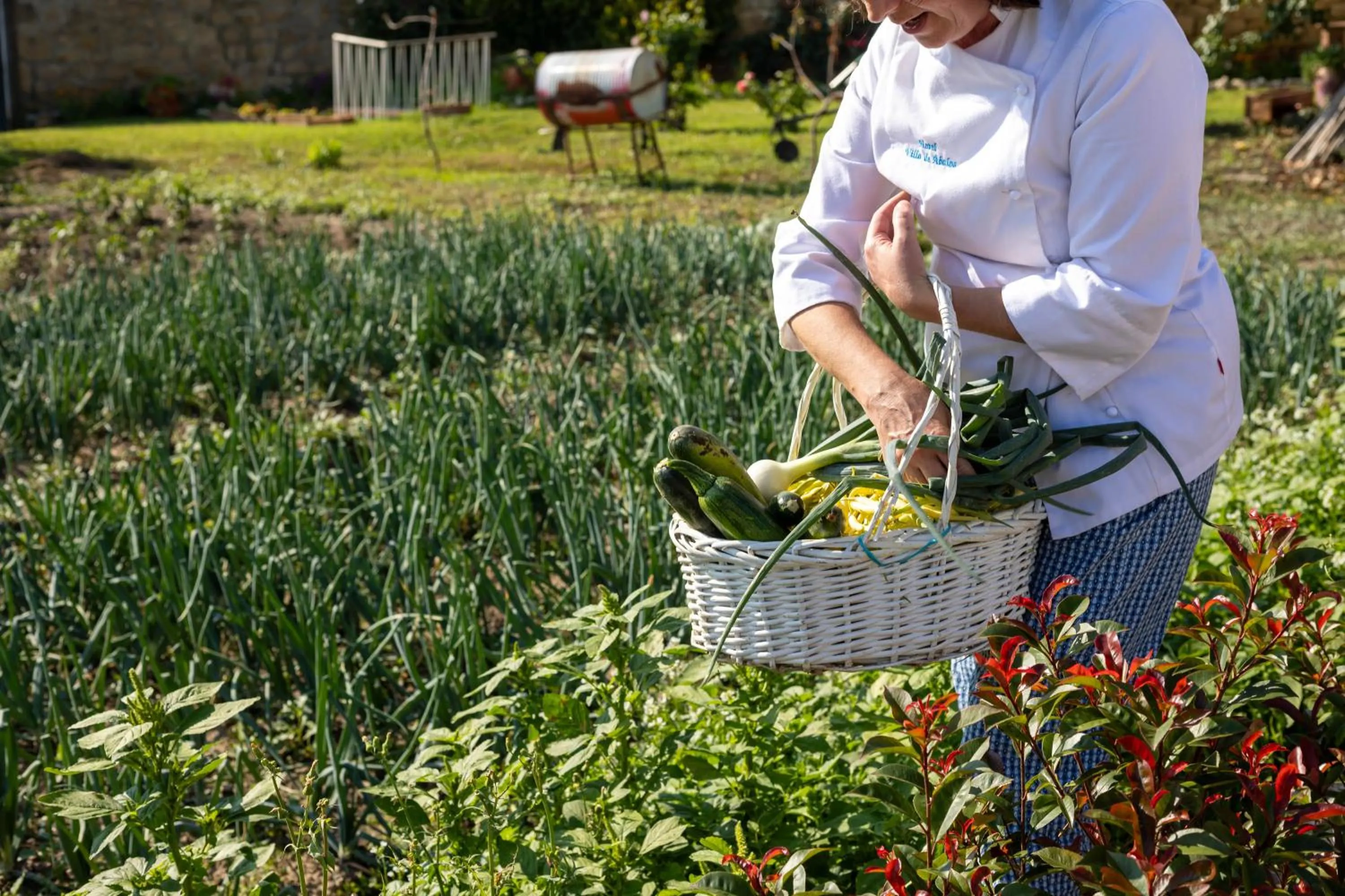 Garden in Hotel Villa de Ábalos